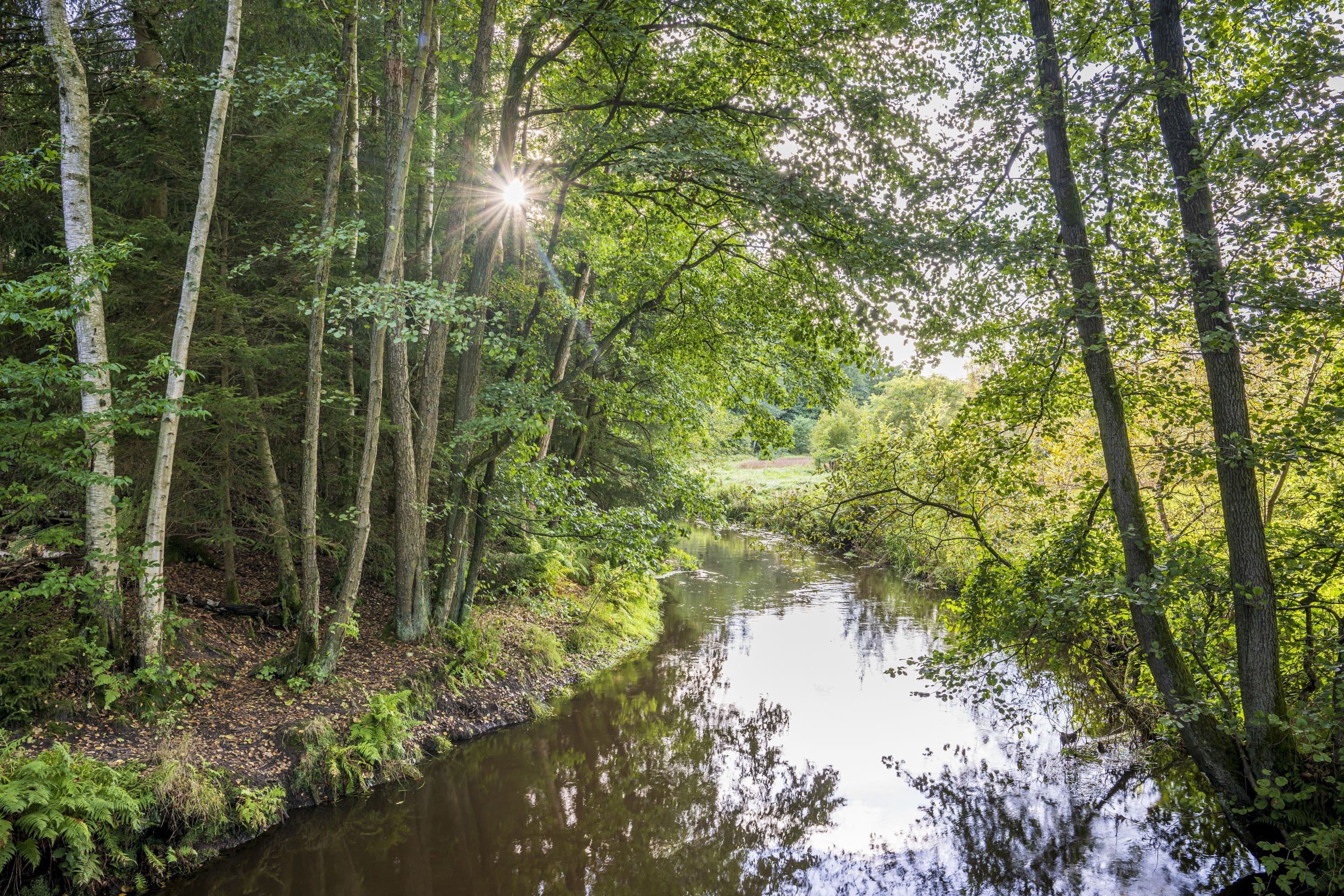 Heideschleife Müden Örtze Südheide