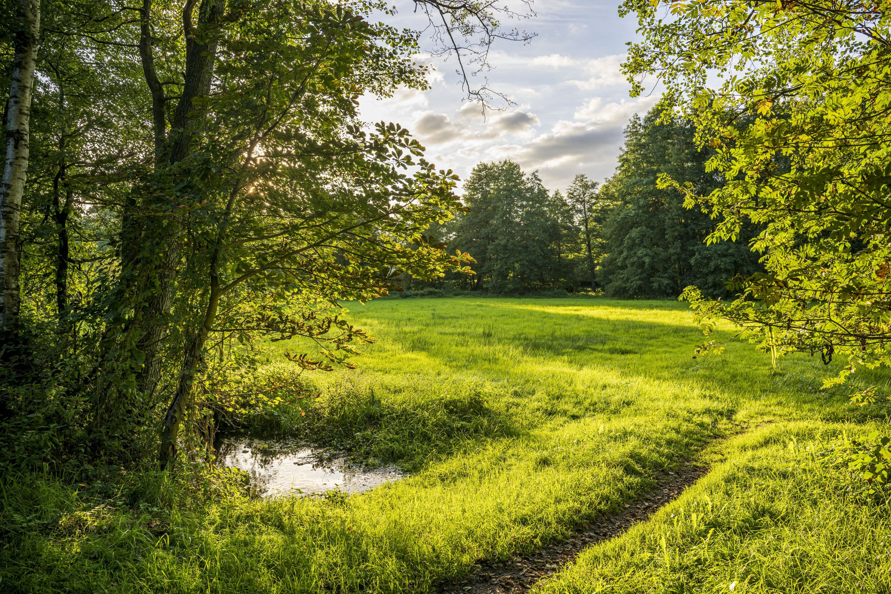 wanderung durch den Wald auf der Heideschleife Müden