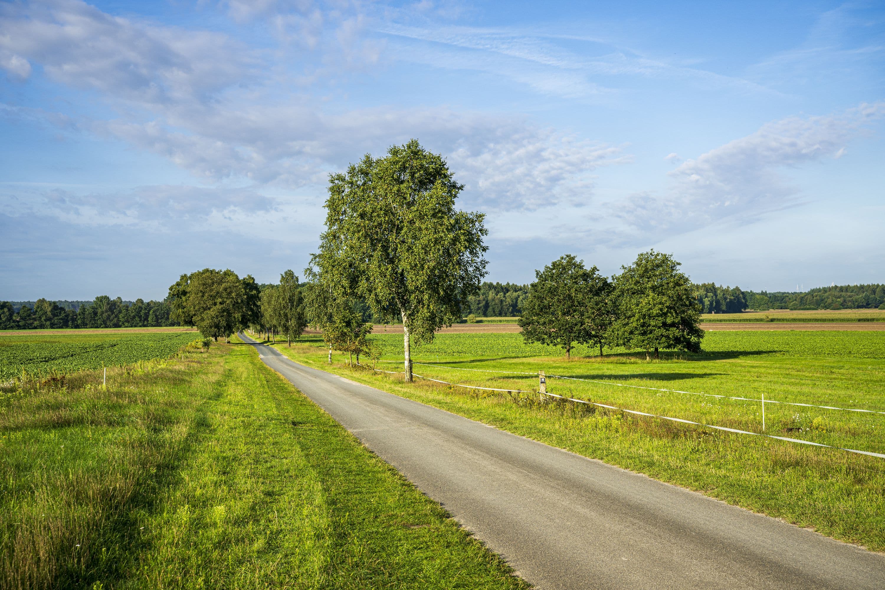 Der Wanderweg führt auch entlang weiter Wiesenlandschaften