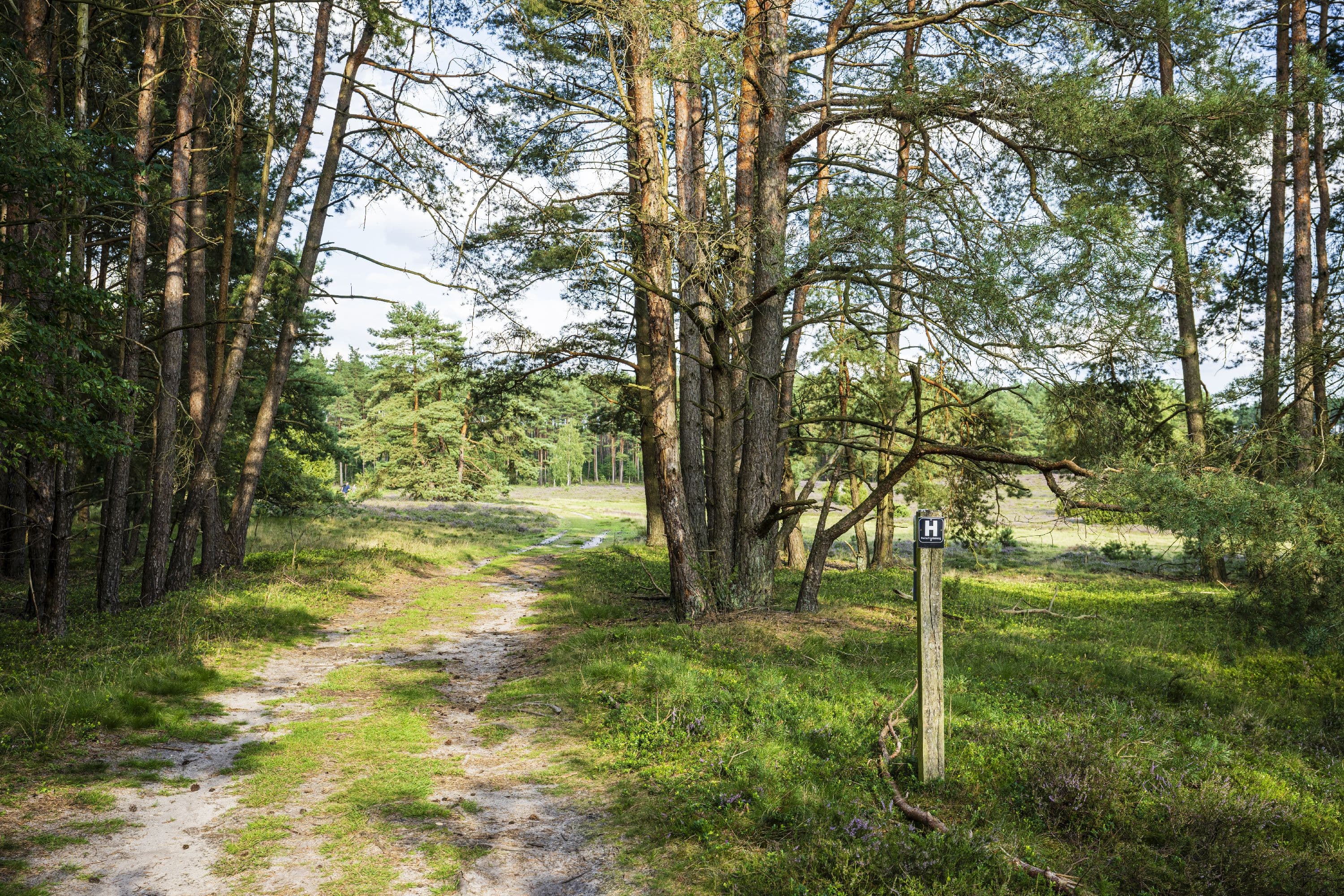 Vielseitige Landschaft am Haußelberg