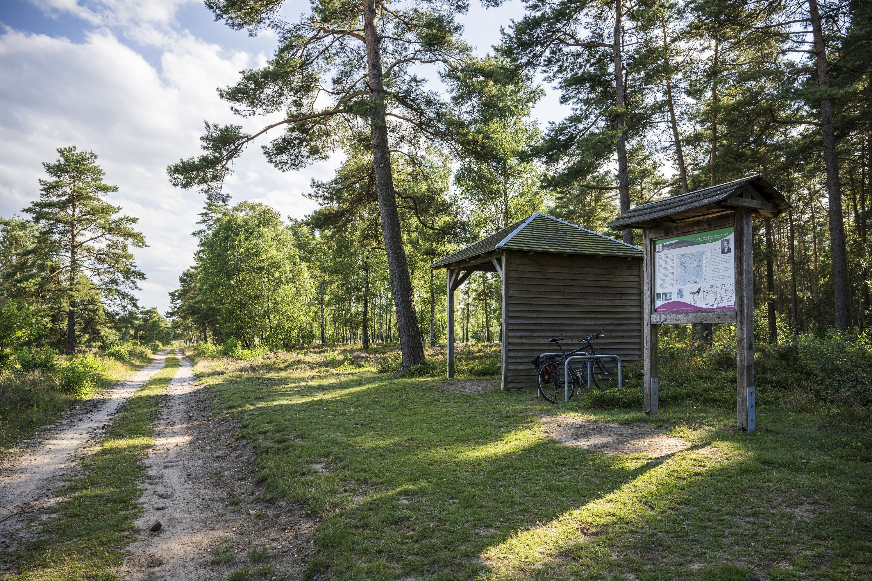 Hausselberg Mueden Suedheide Heidebluete