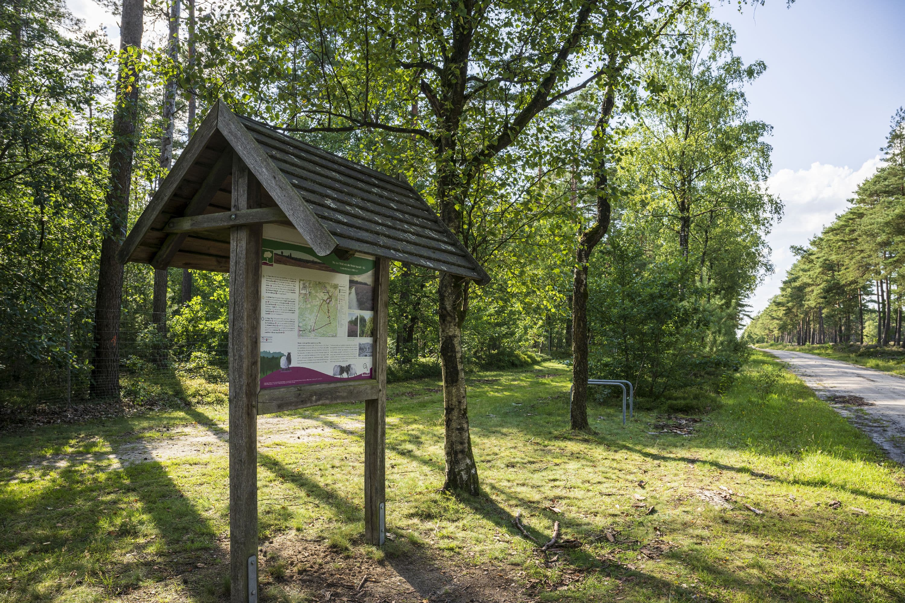 Hausselberg Mueden Suedheide Heidebluete