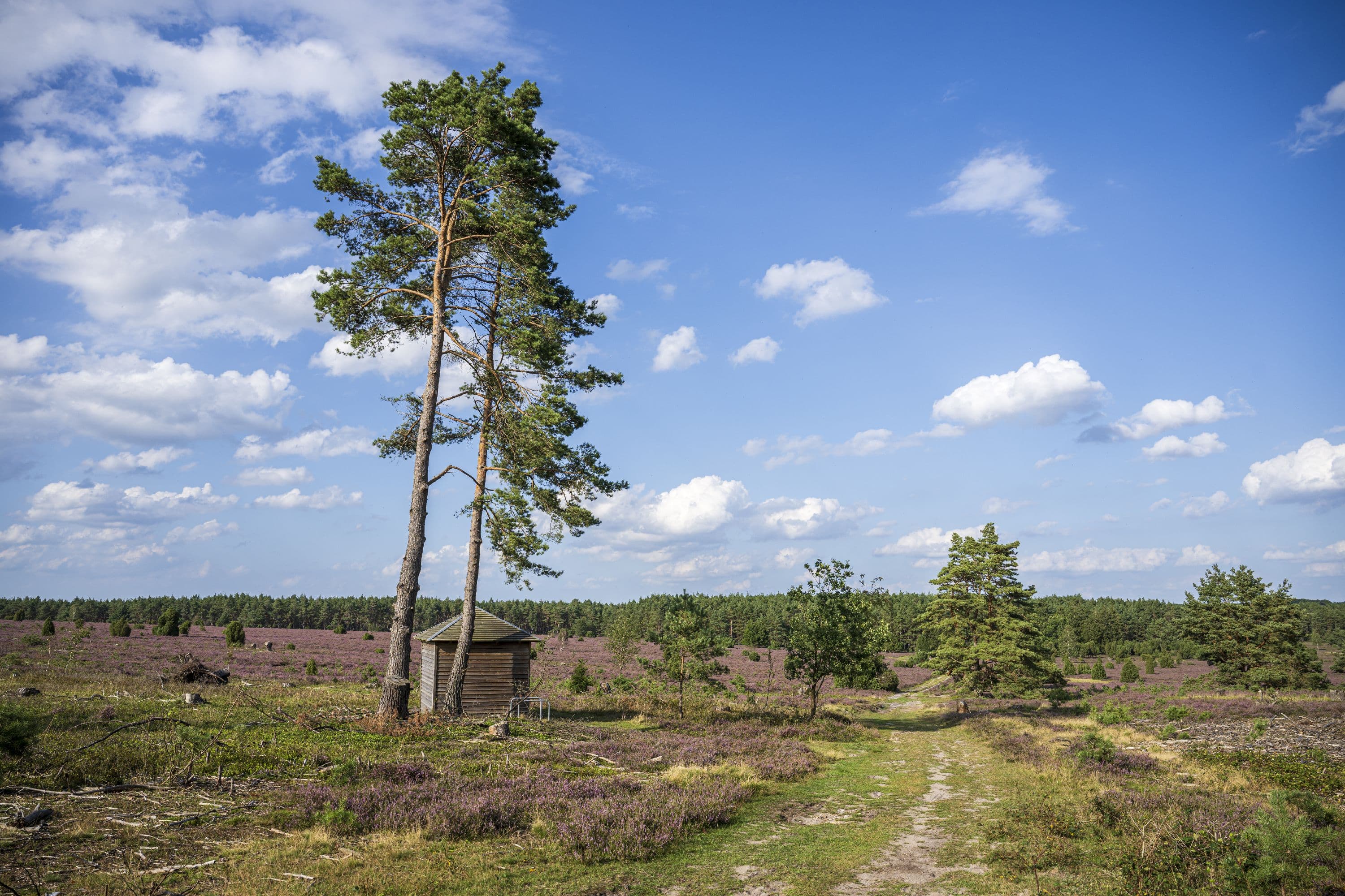 Schutzhütte am Wanderweg