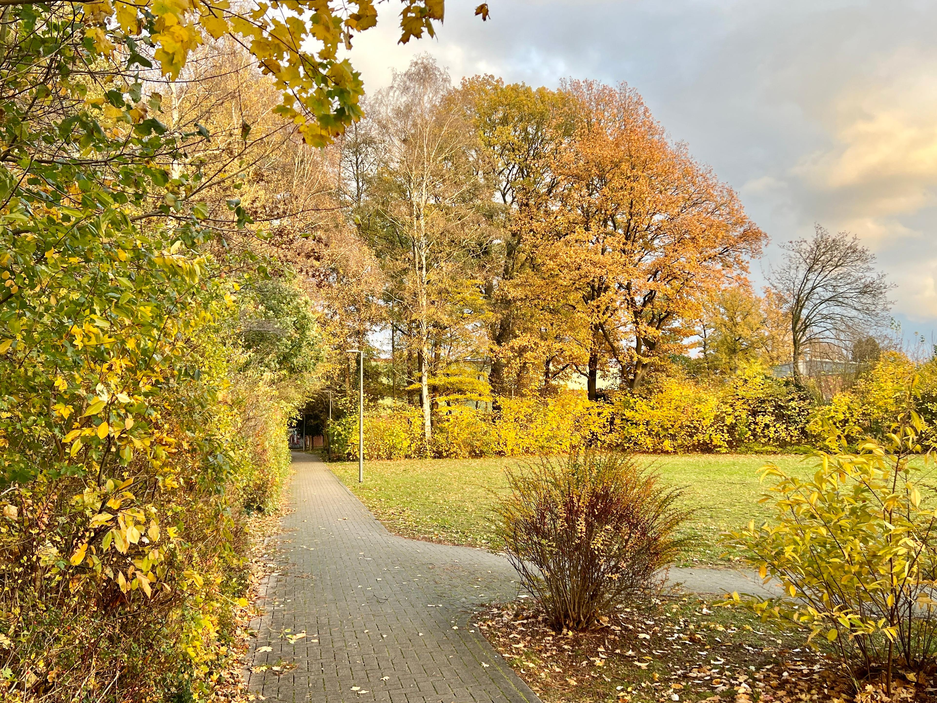 09.11.2023 Örtzepark in Hermannsburg