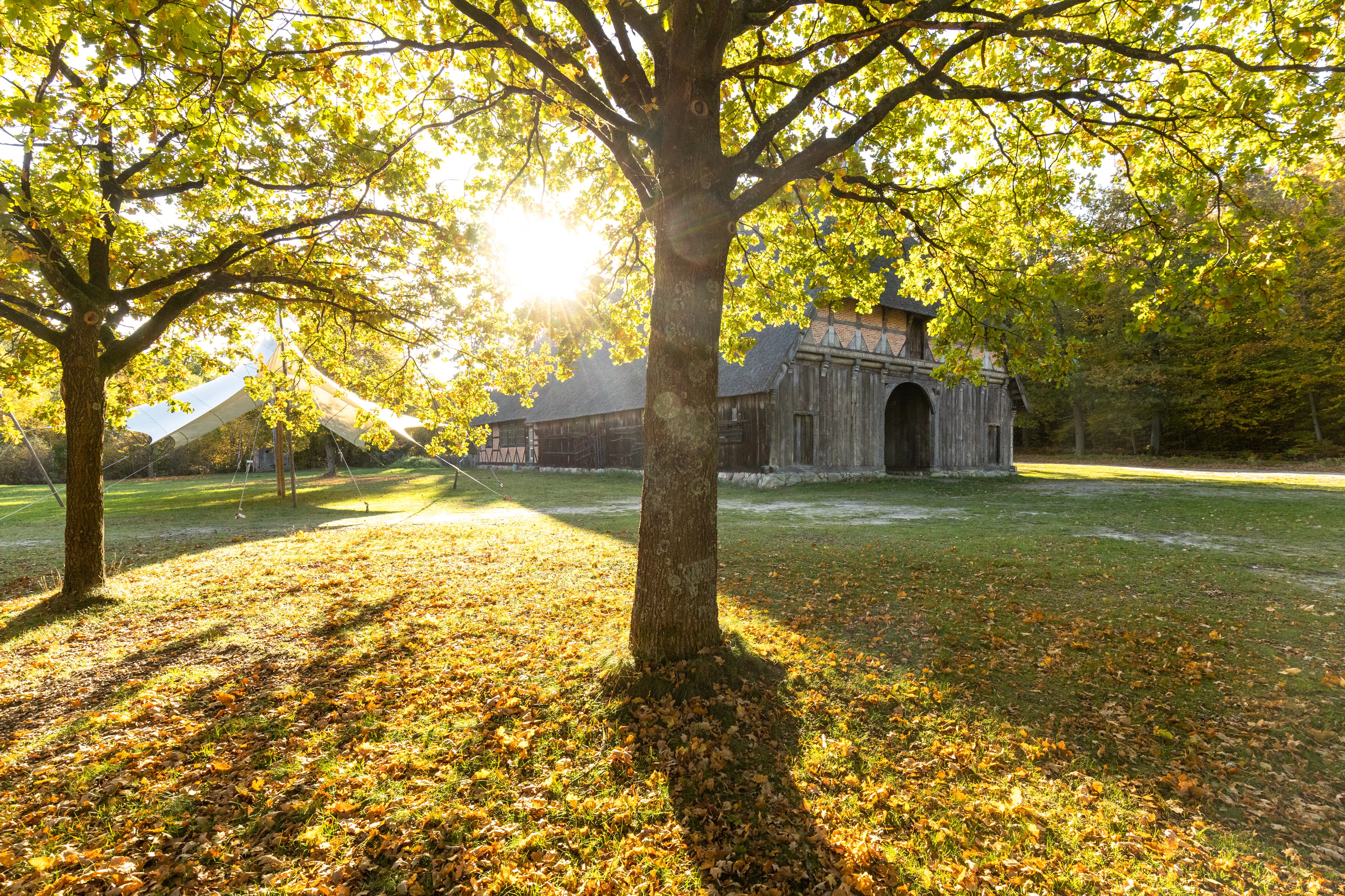 Suderburg Museumsdorf Hoesseringen Herbst