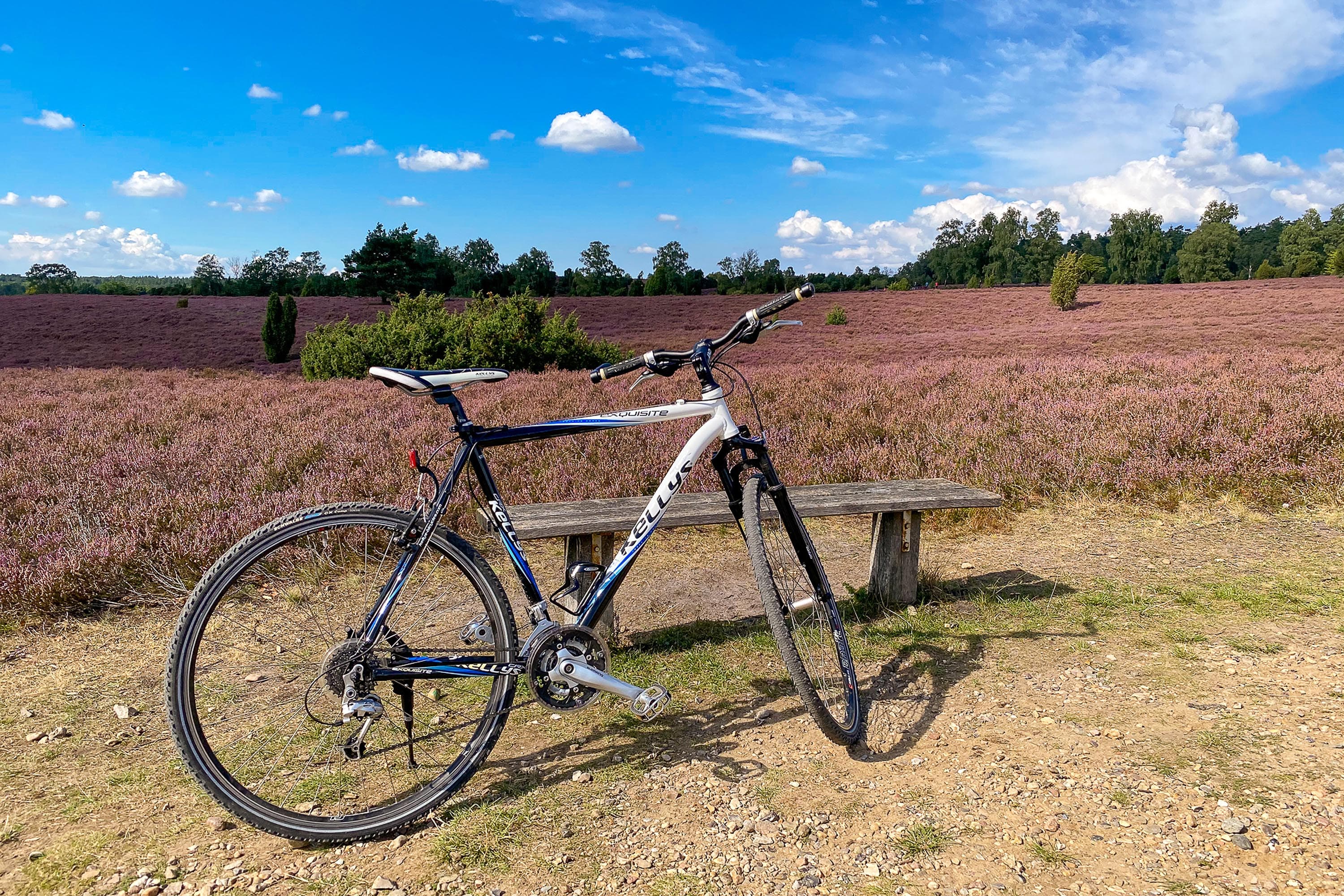 Gravelbike Tour nach Wilsede