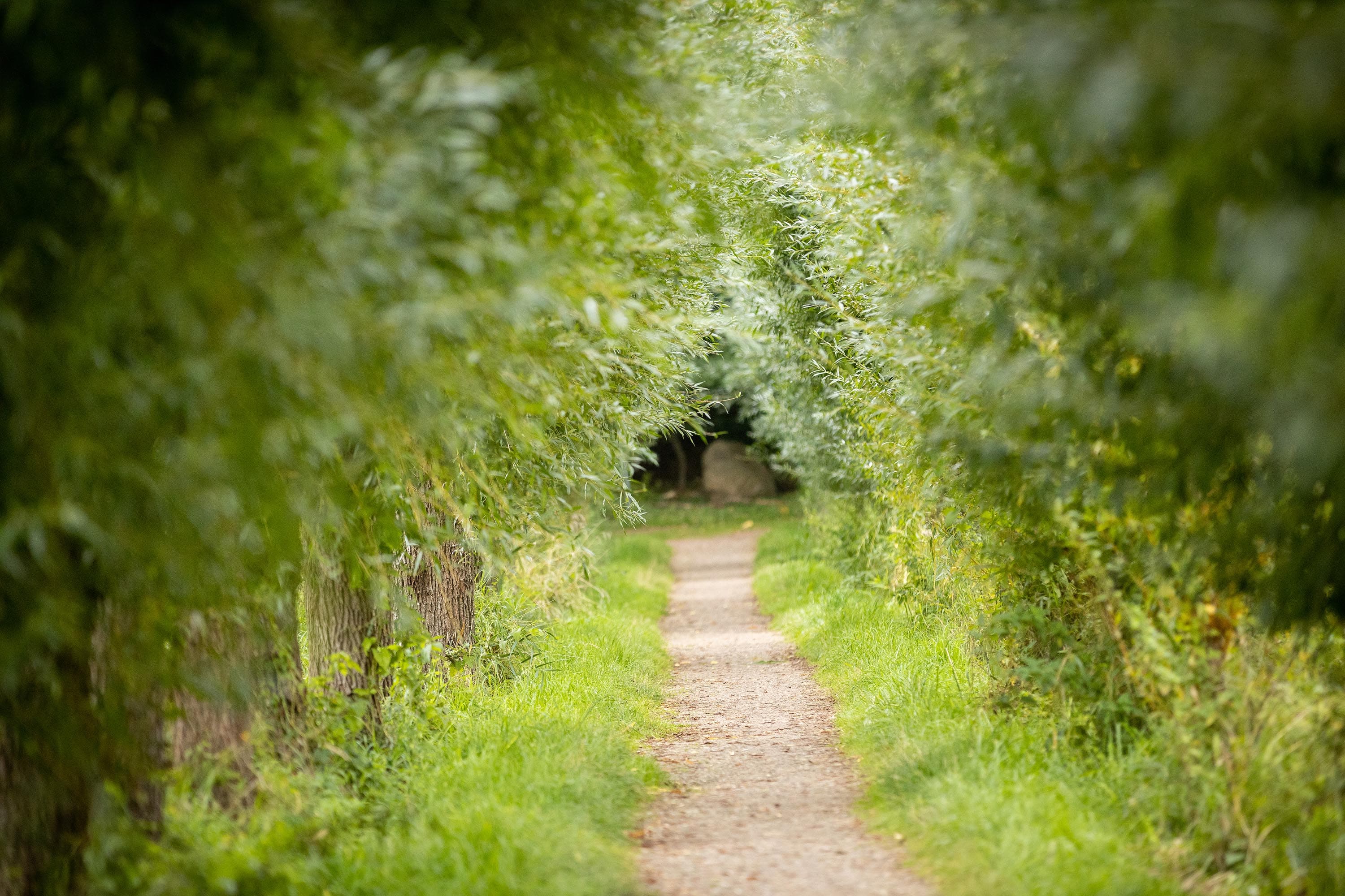 Unterwegs durch die Lüneburger Heide mit dem Gravelbike
