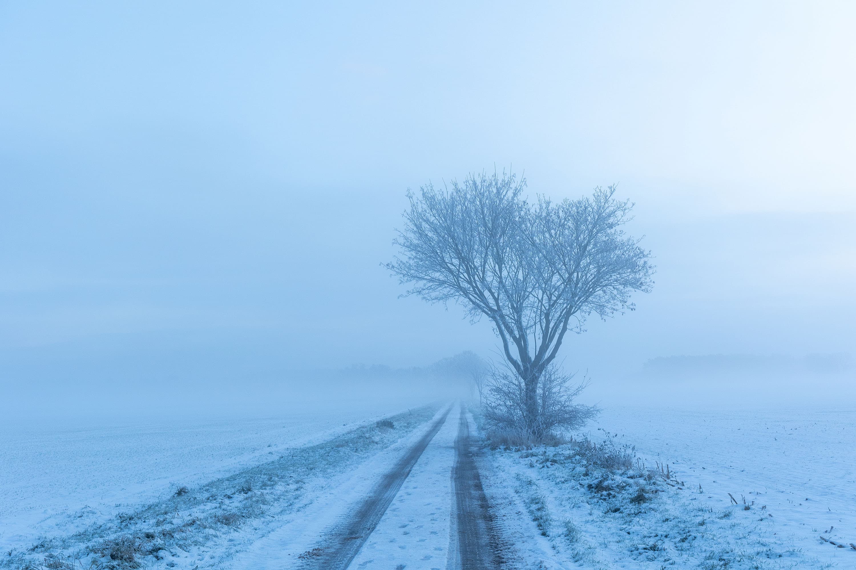 Das Becklinger Moor im Winter