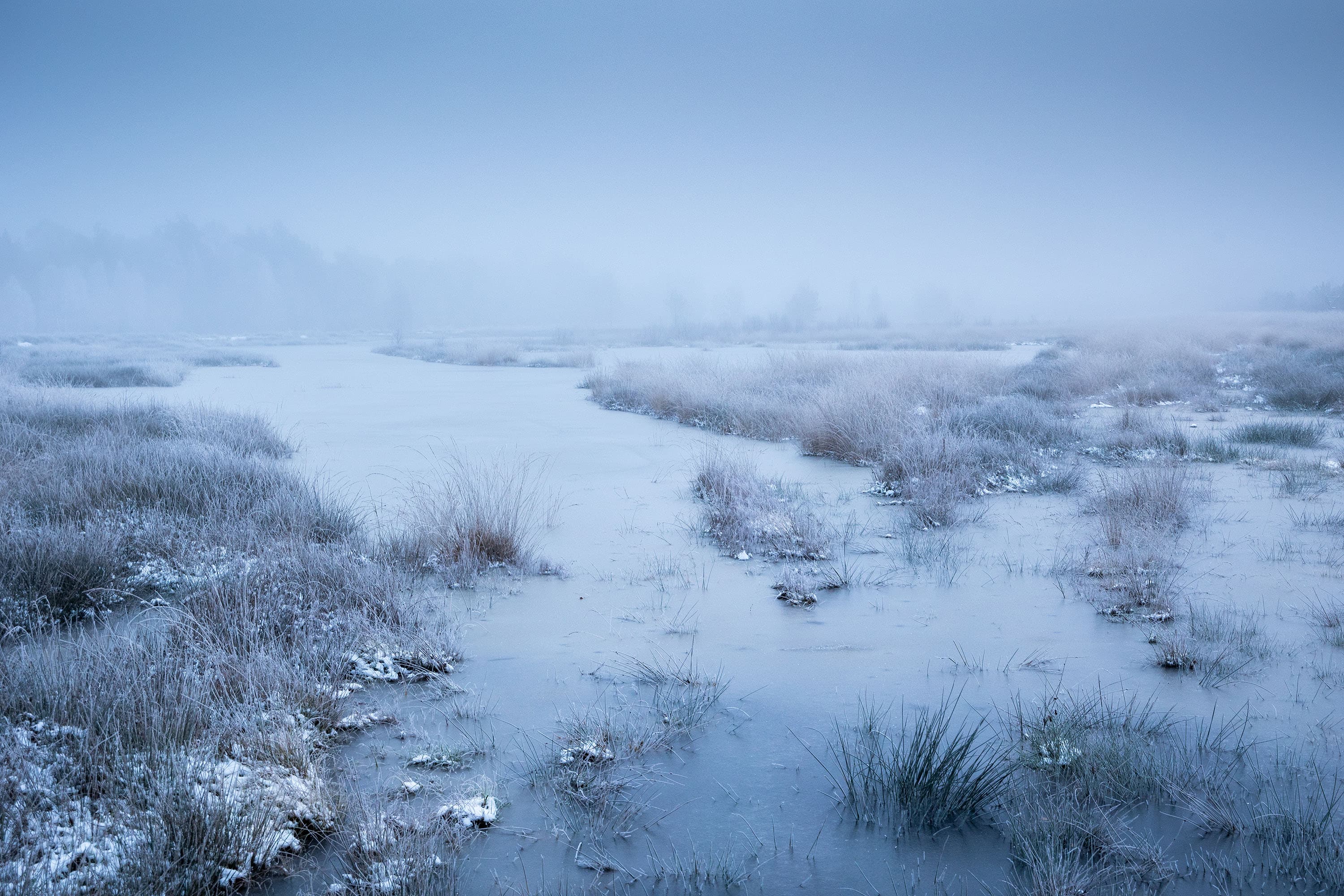 Becklinger Moor Schnee Frost Winter Südheide