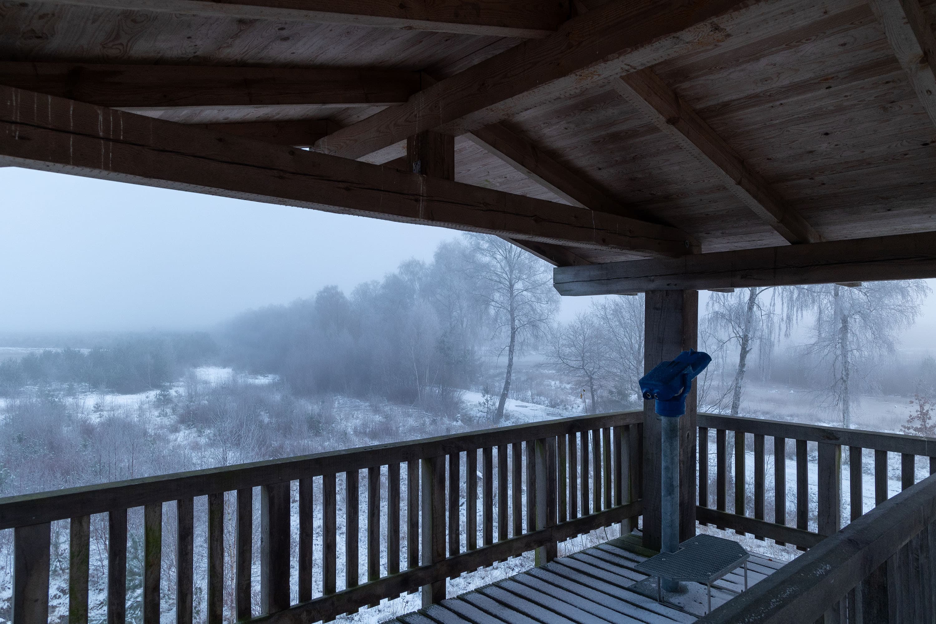 Herrlicher Blick auf das eisige Becklinger Moor