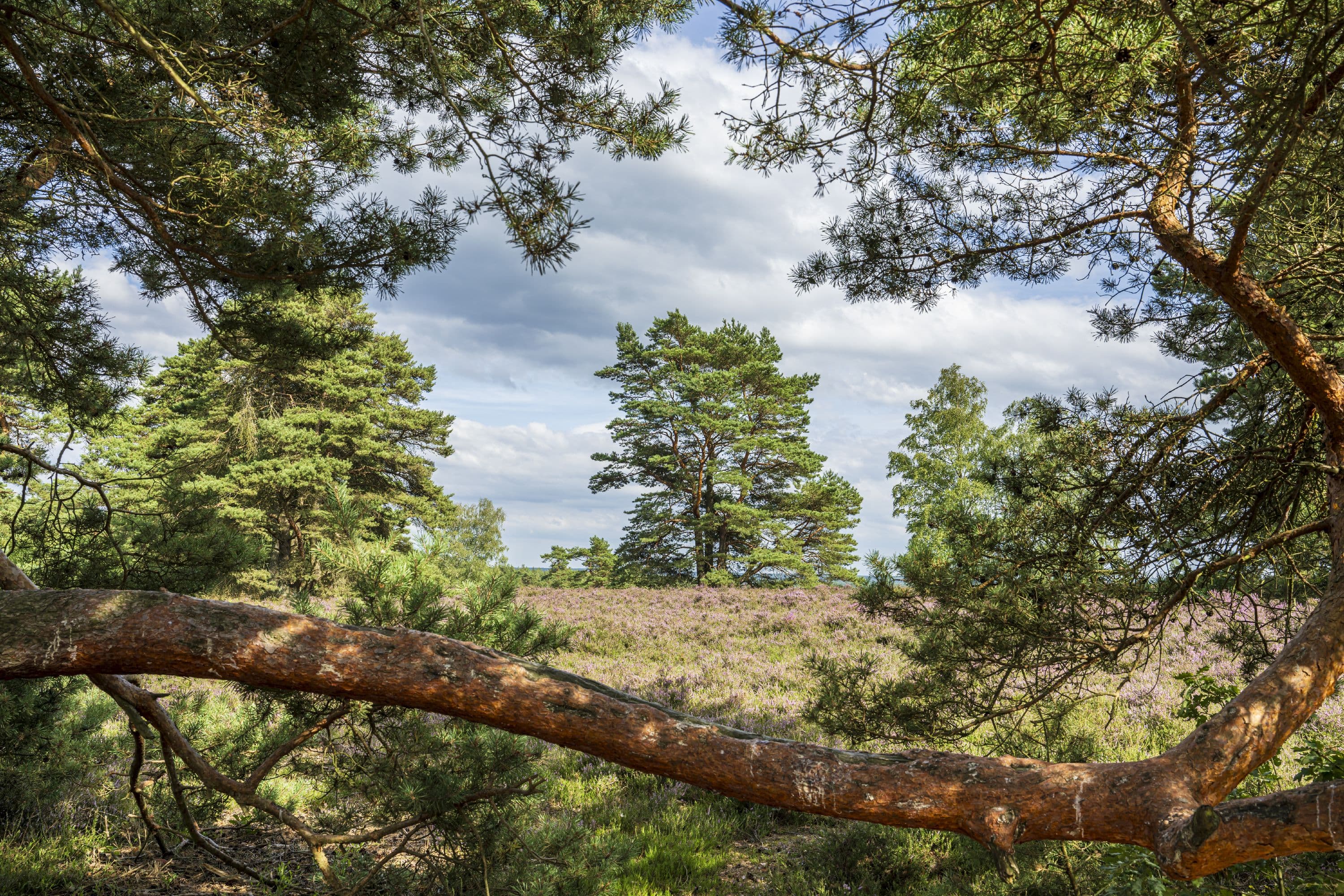 Auf dem Wanderweg "Sagenhafte Sicht im Elfenland"