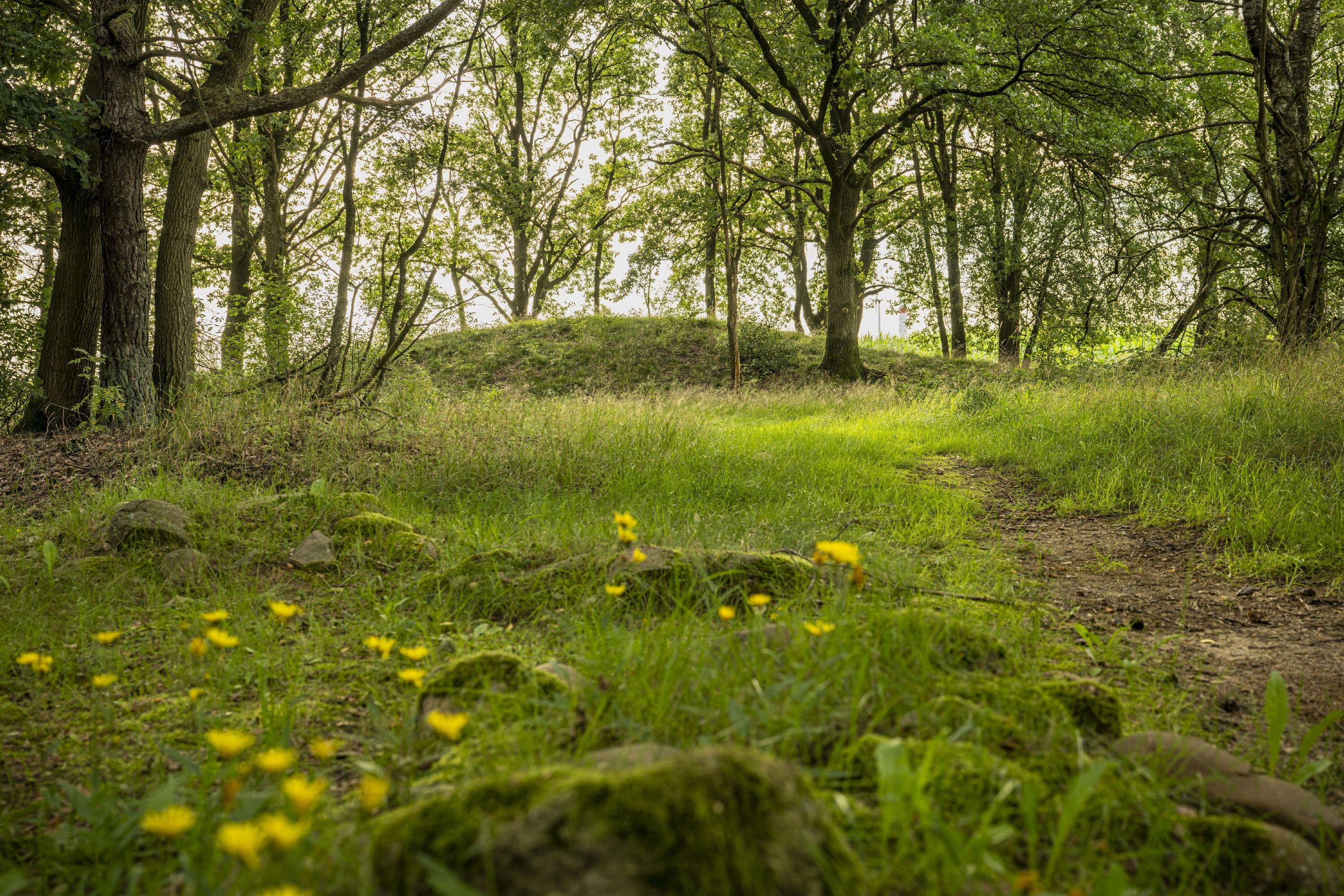 Frühlingswandern auf dem Wietzer Berg