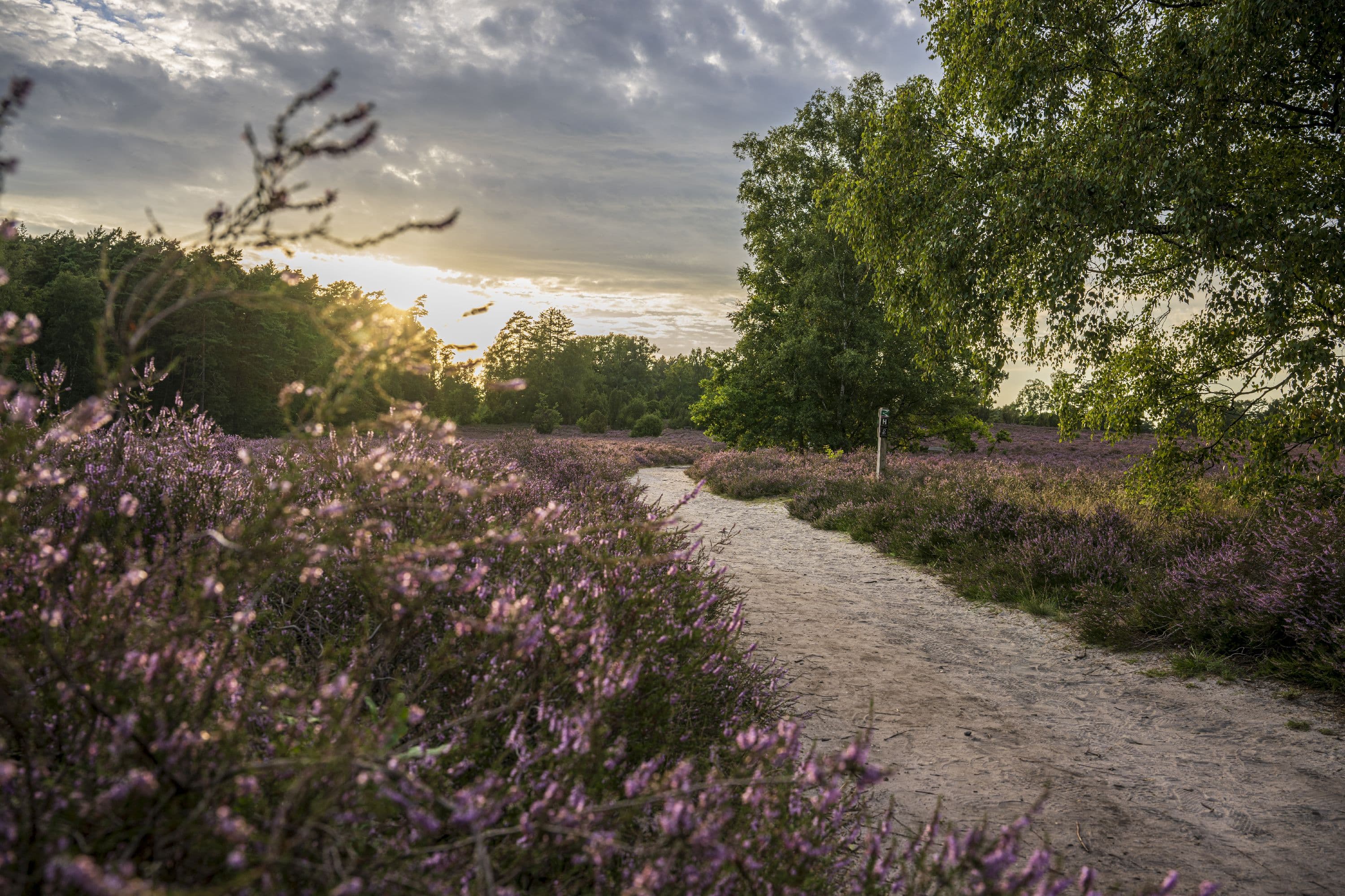 Sonnenaufgang auf dem Wietzer Berg