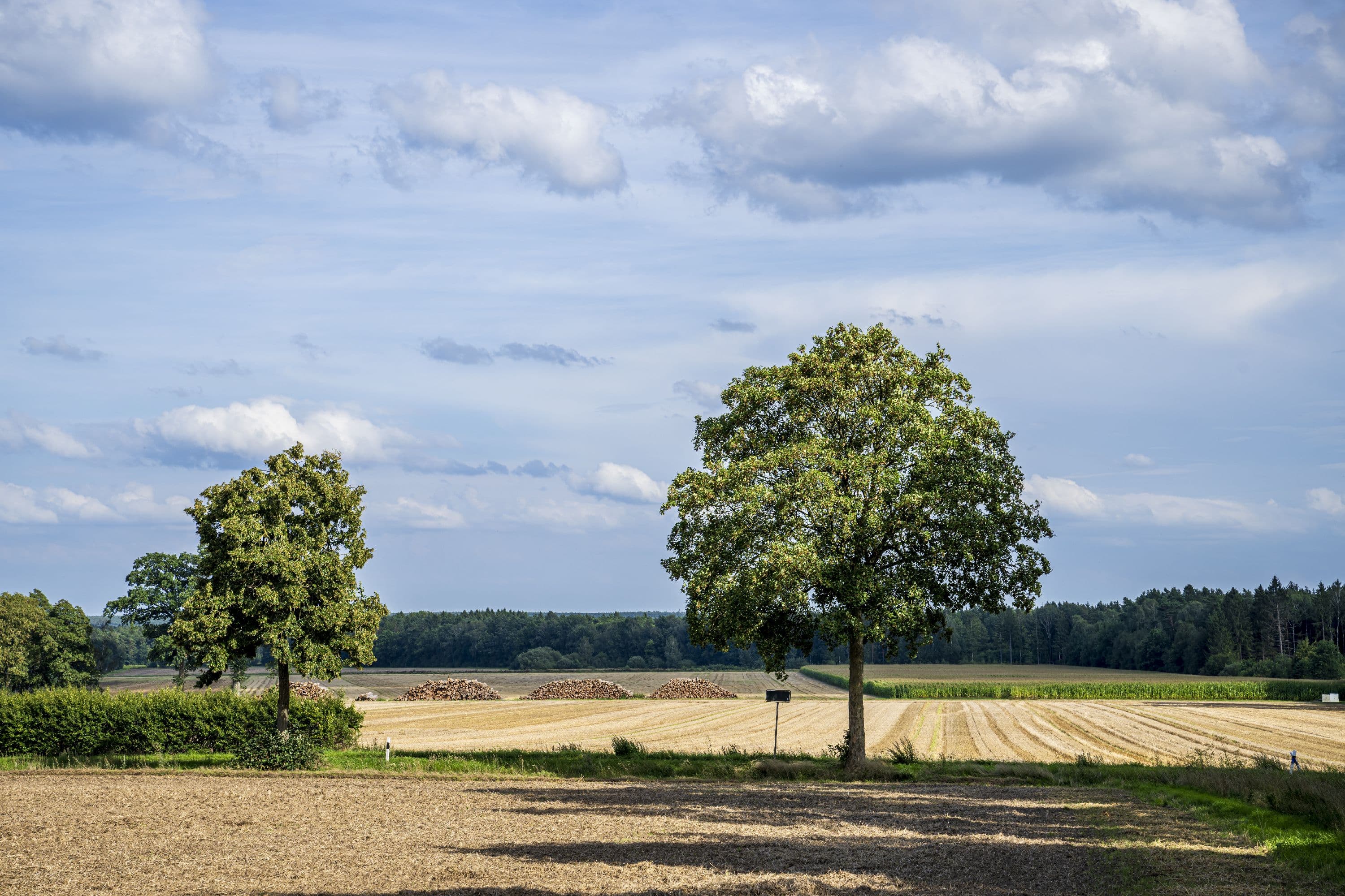 Weite Felder liegen rechts und links des Wanderweges