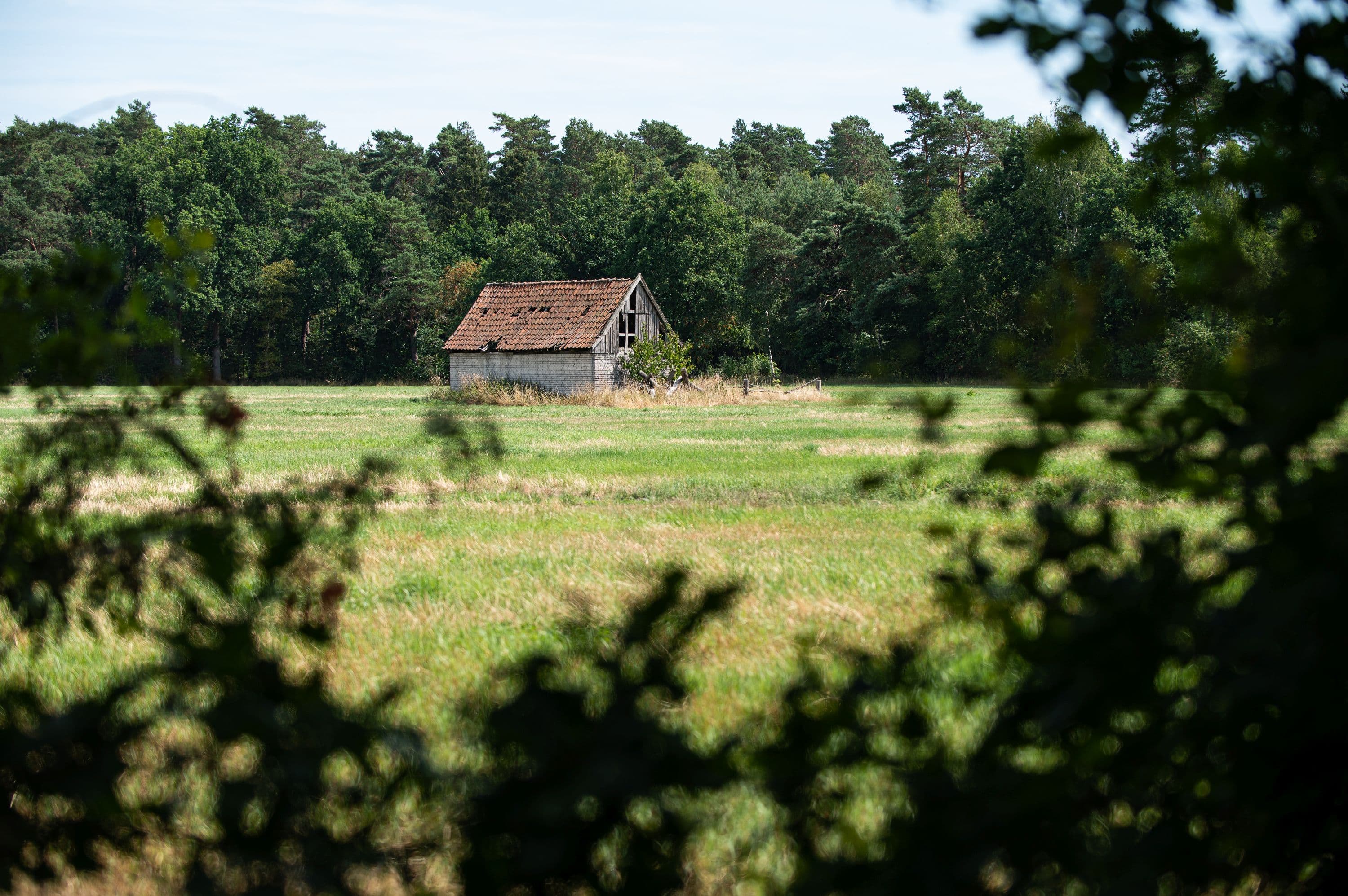 Blick auf grüne Wiesen am Wanderweg