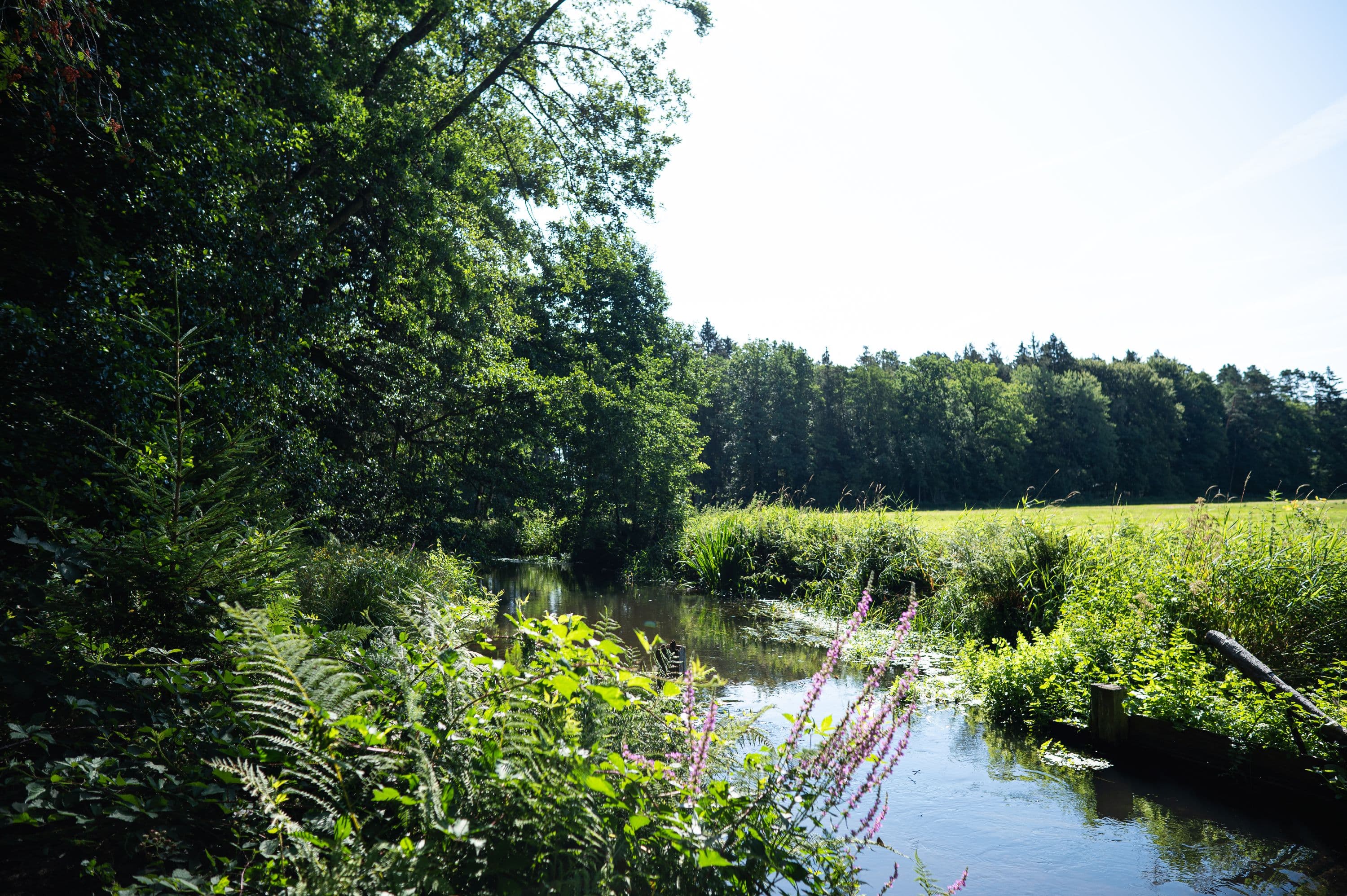 Auf dem Fluss-Wald-Erlebnispfad