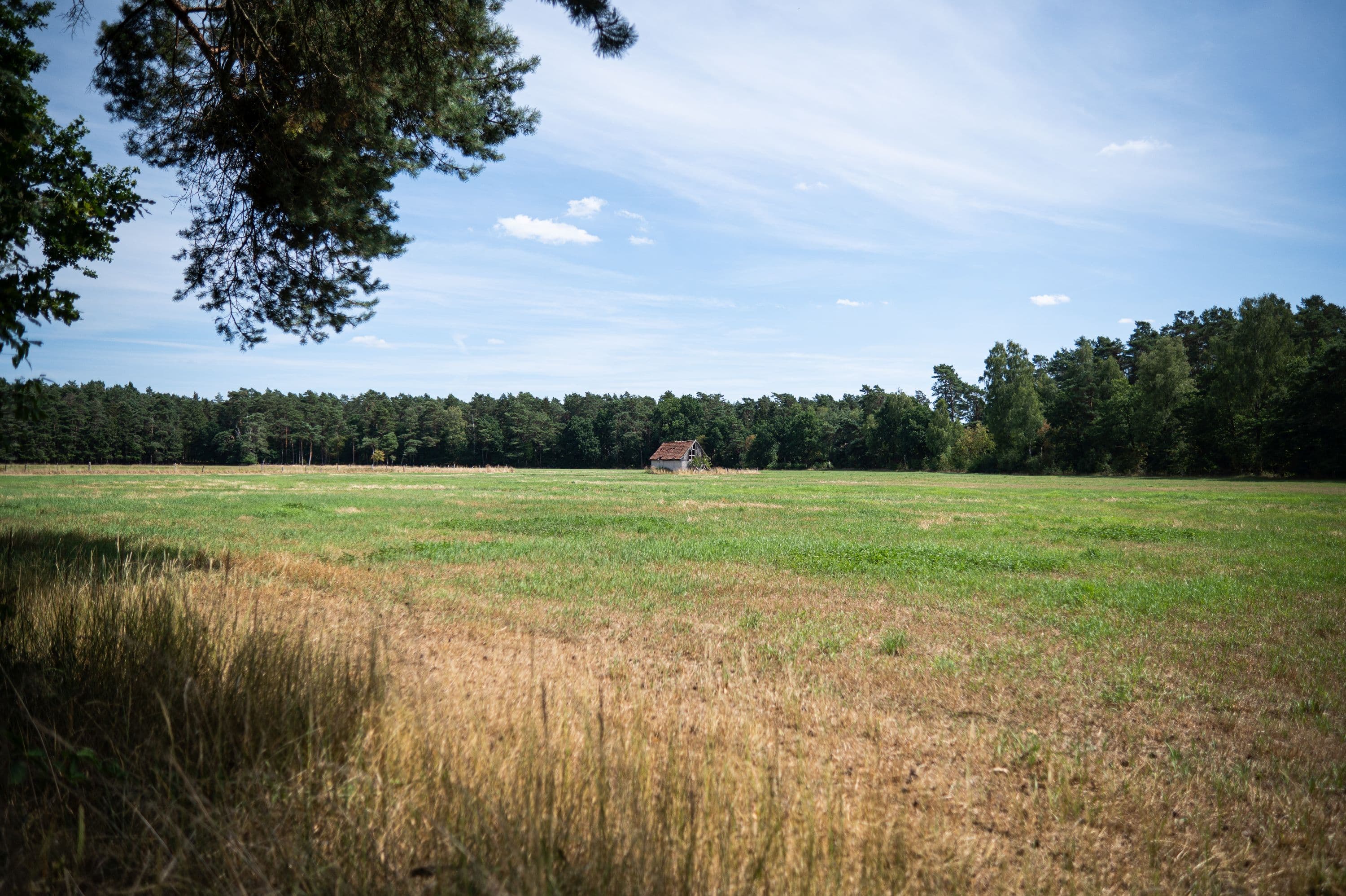 Weite Wiesenlandschaften entlang des Wanderweges