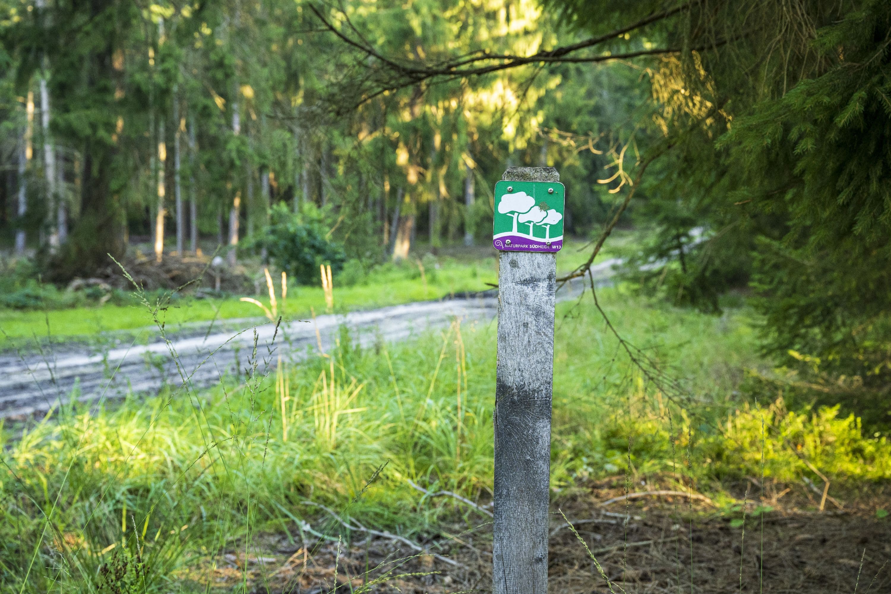 Wegweiser am Wegesrand des Rundwanderweges