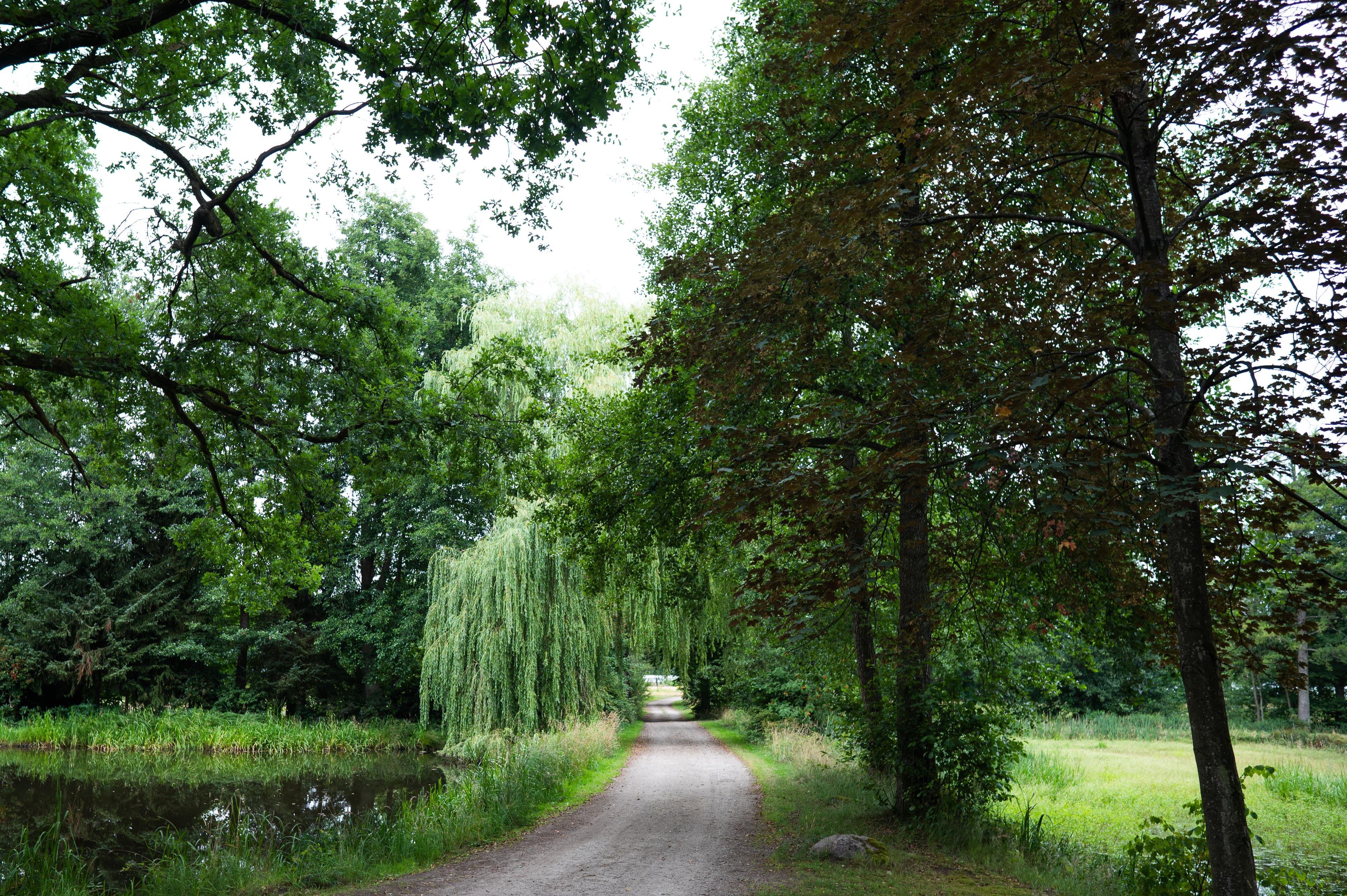 Schmaler Wanderweg an den Aschauteichen