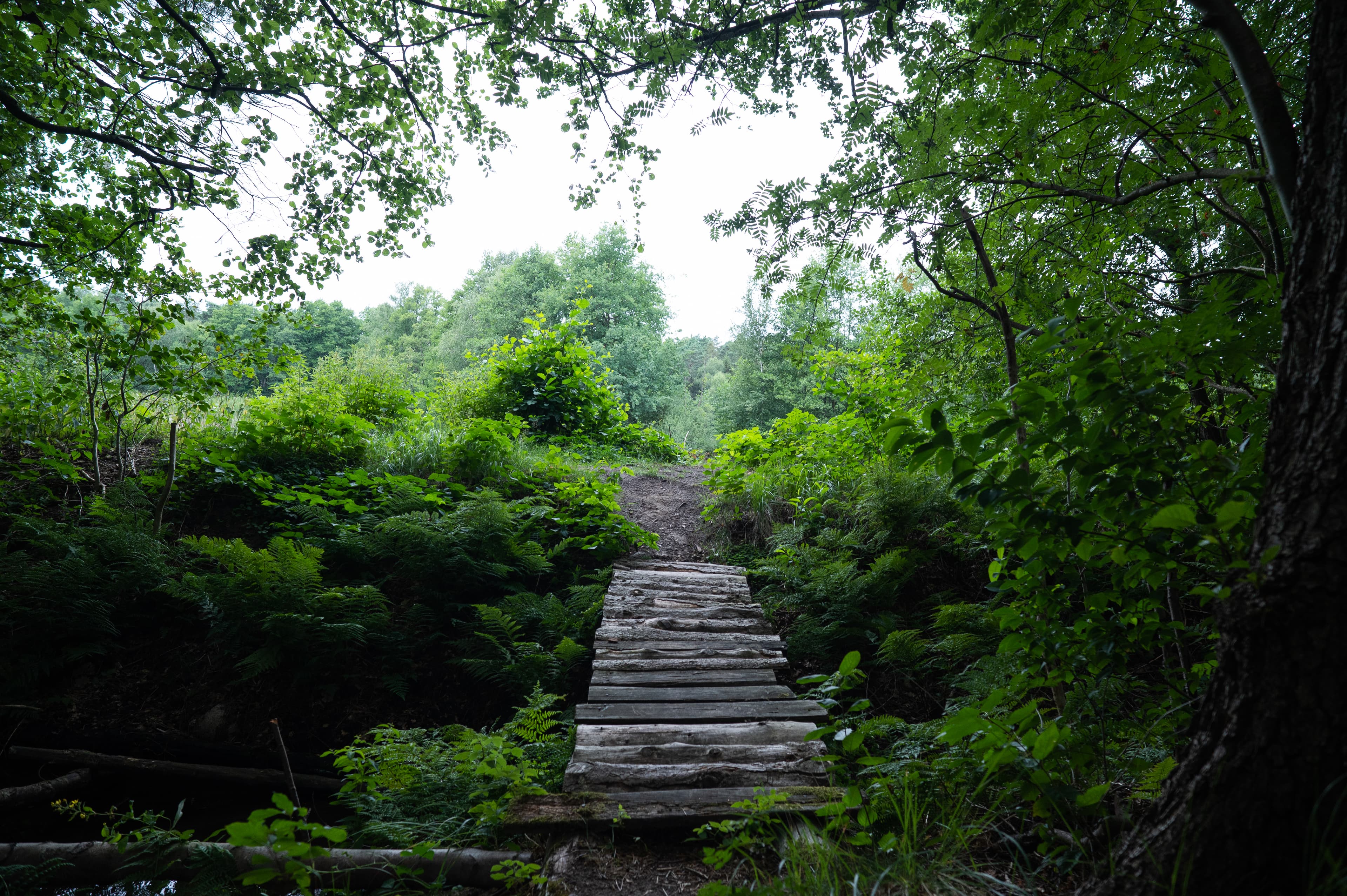 Kleine Brücke am Wanderweg