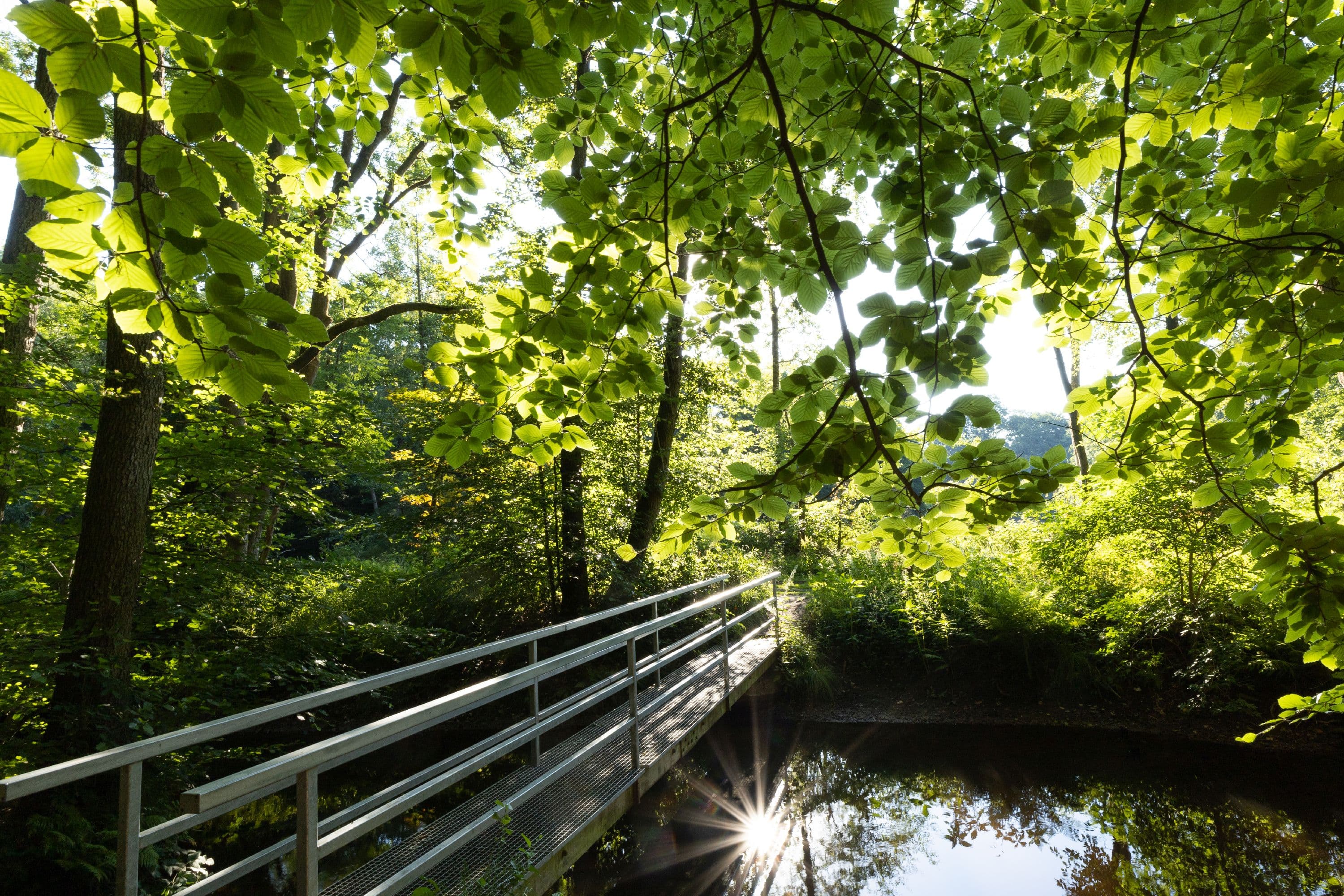 Brücke über die Lutter