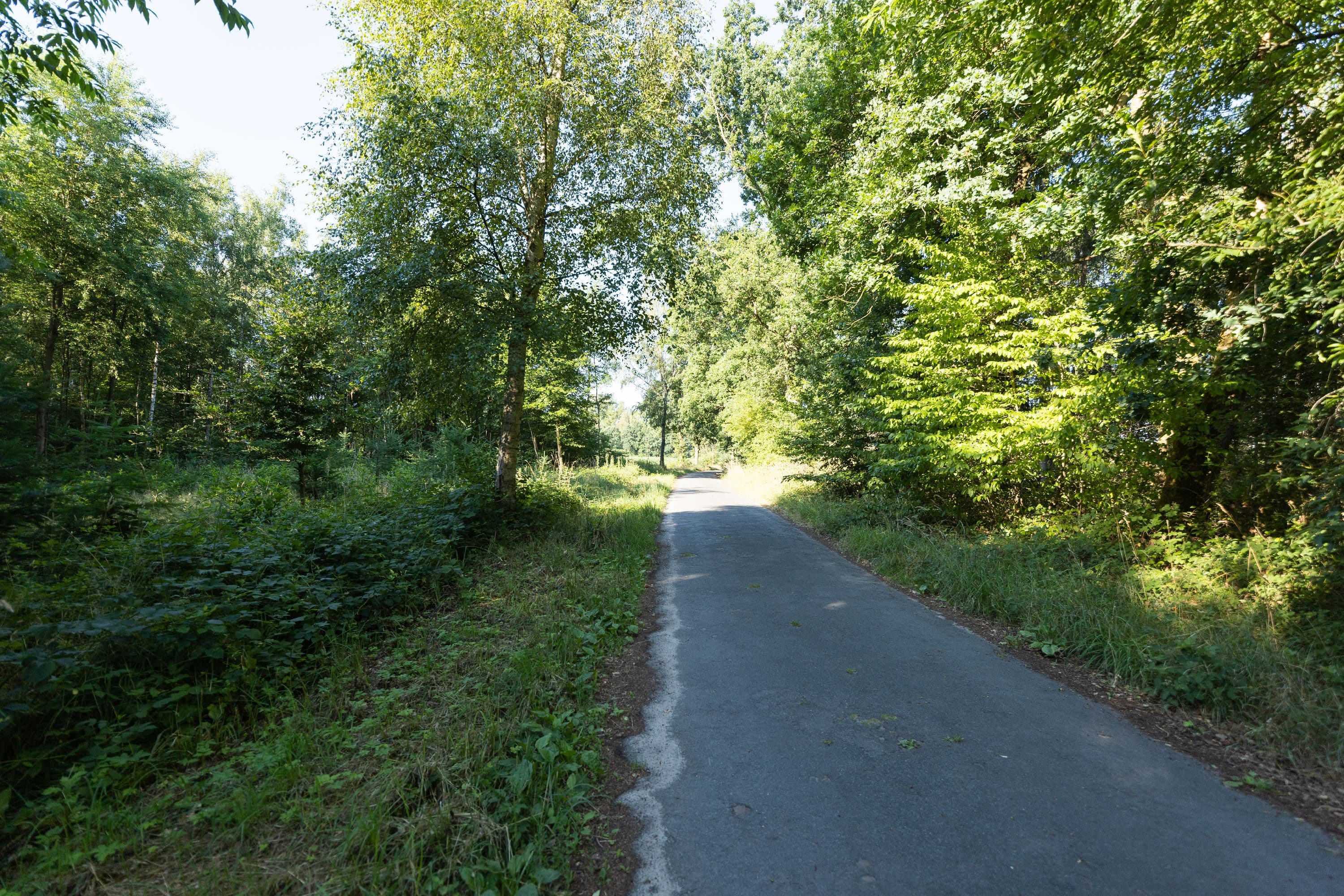 Auf dem Wanderweg "Im Himmelreich"