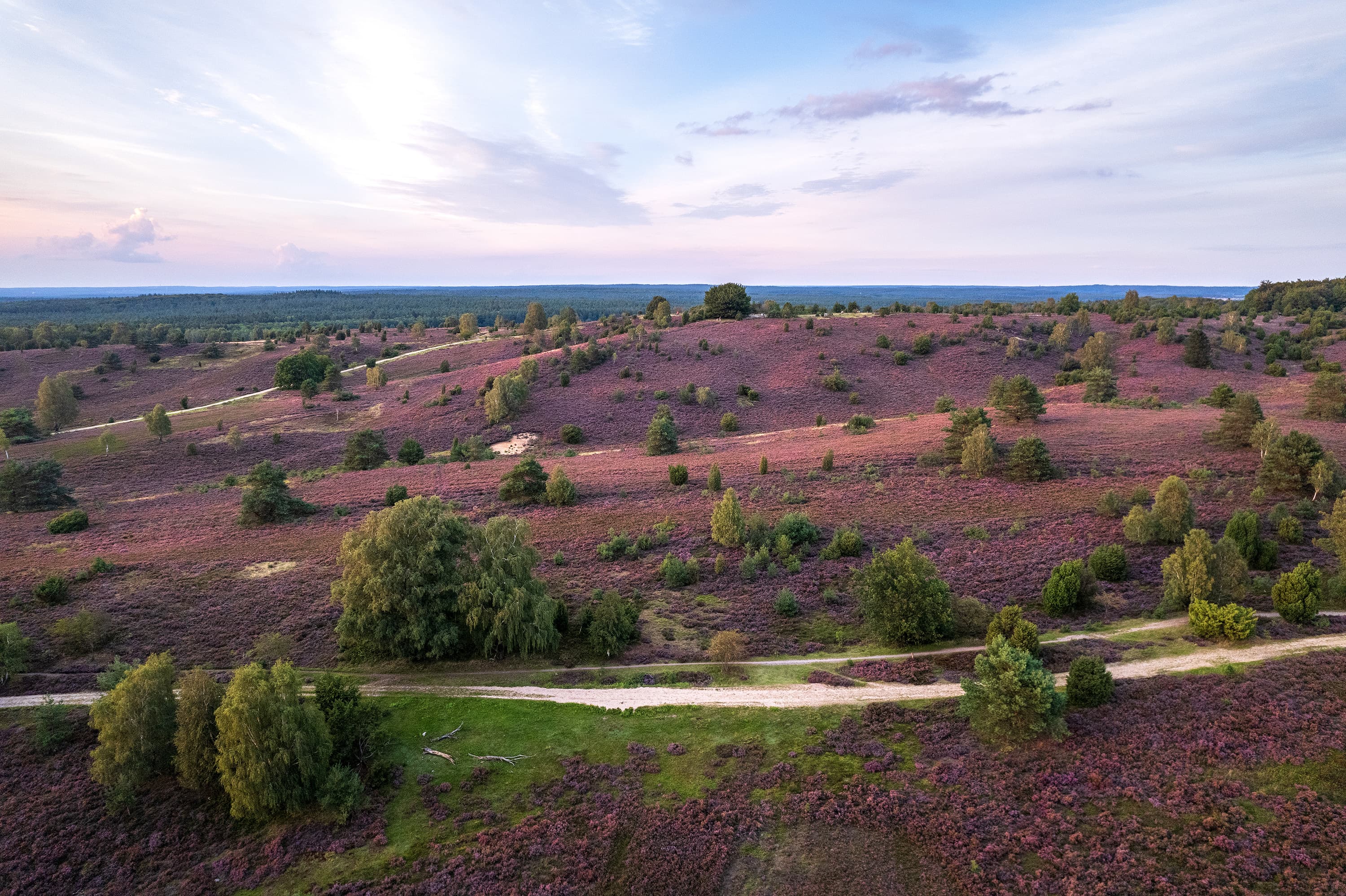 Luftaufnahme vom Naturschutzgebiet Lüneburger Heide über dem Bolterberg