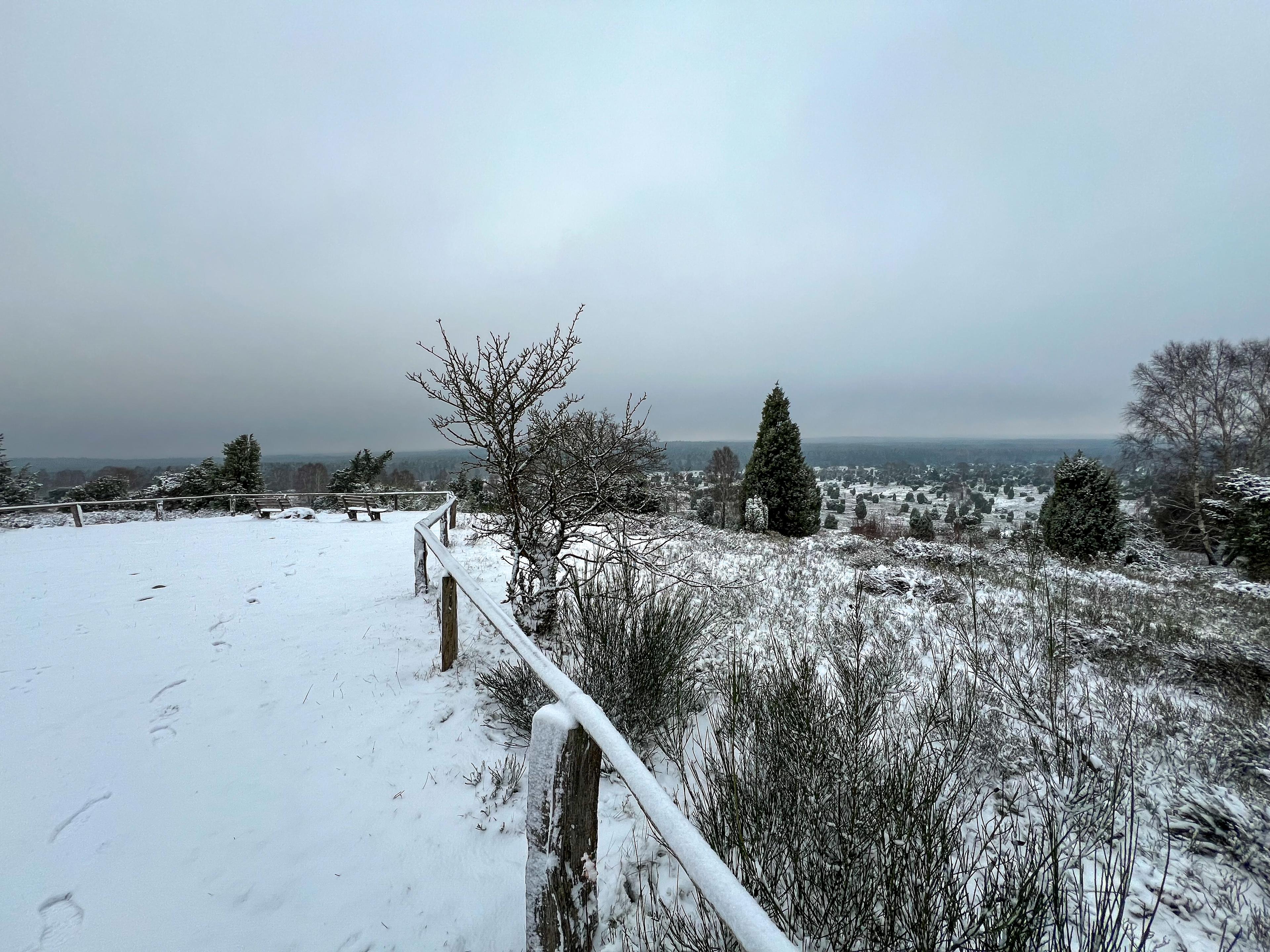 Blick vom Wilseder Berg über die schneebedeckte Heide