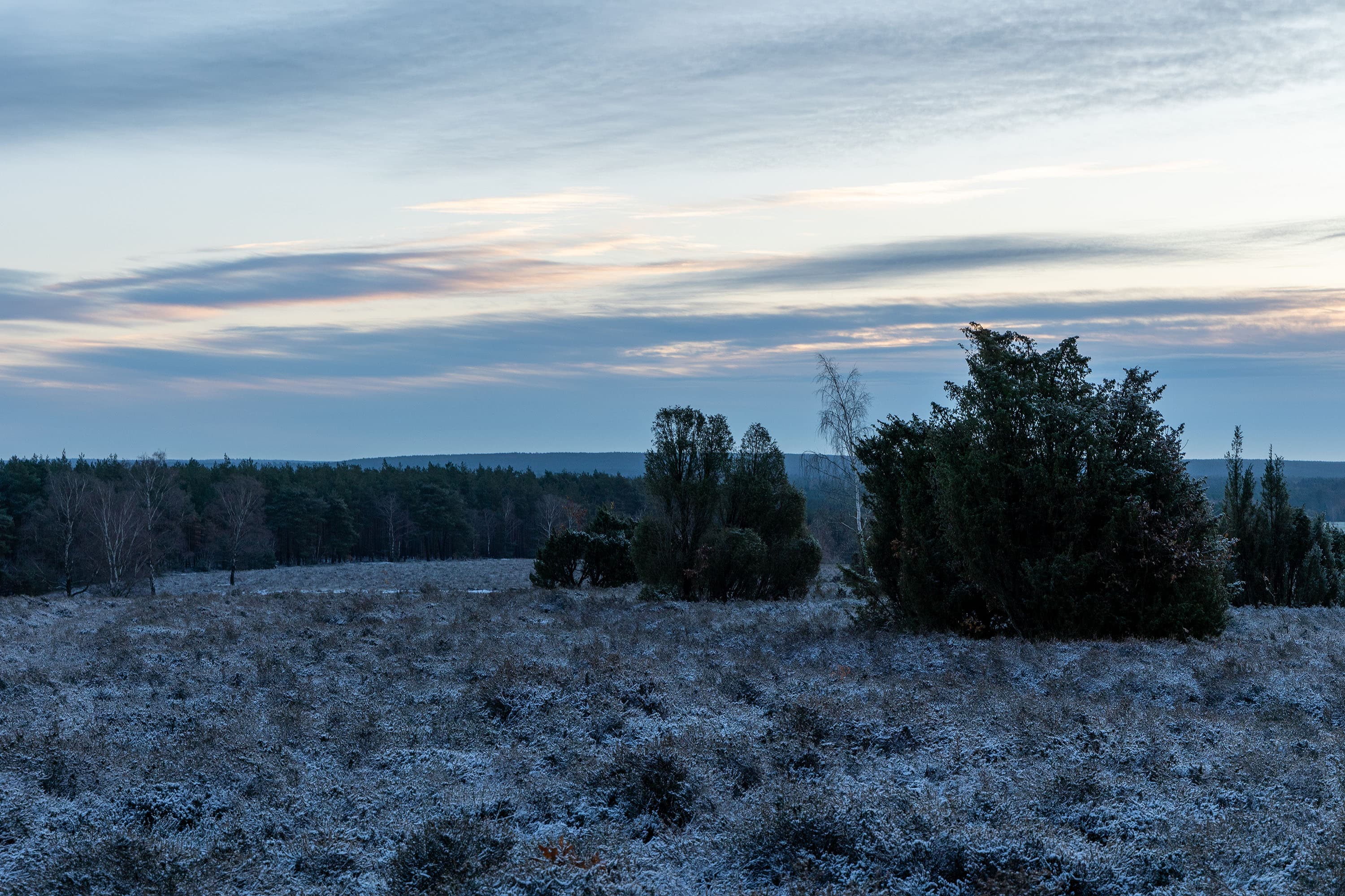 Wandern auf den Wietzer Berg im Winter