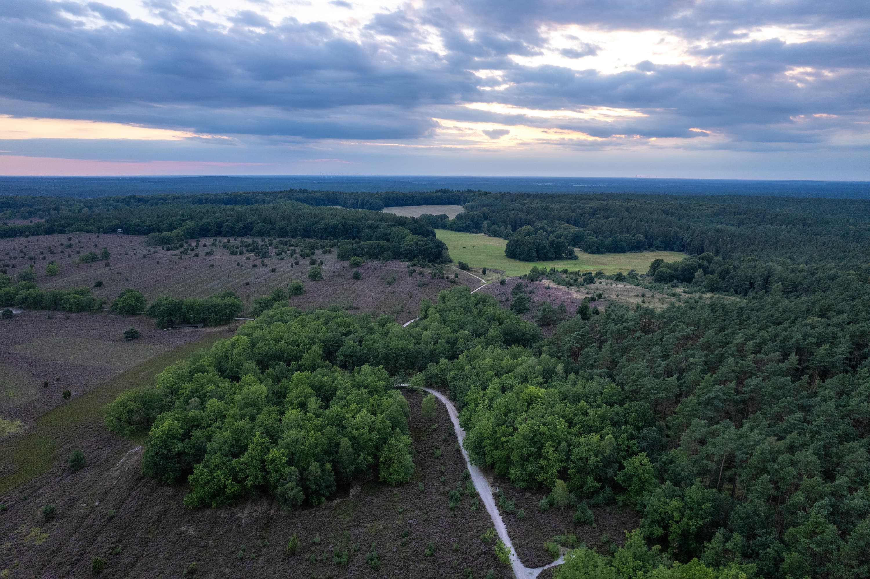 Wandern in der abwechslungsreichen Heidelandschaft am Bolterberg