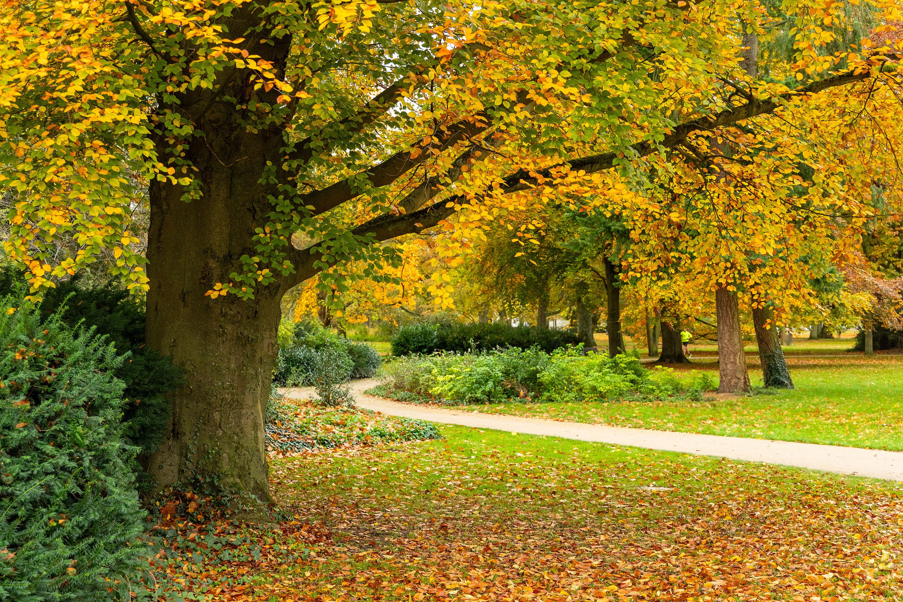 Weg durch den Französischen Garten