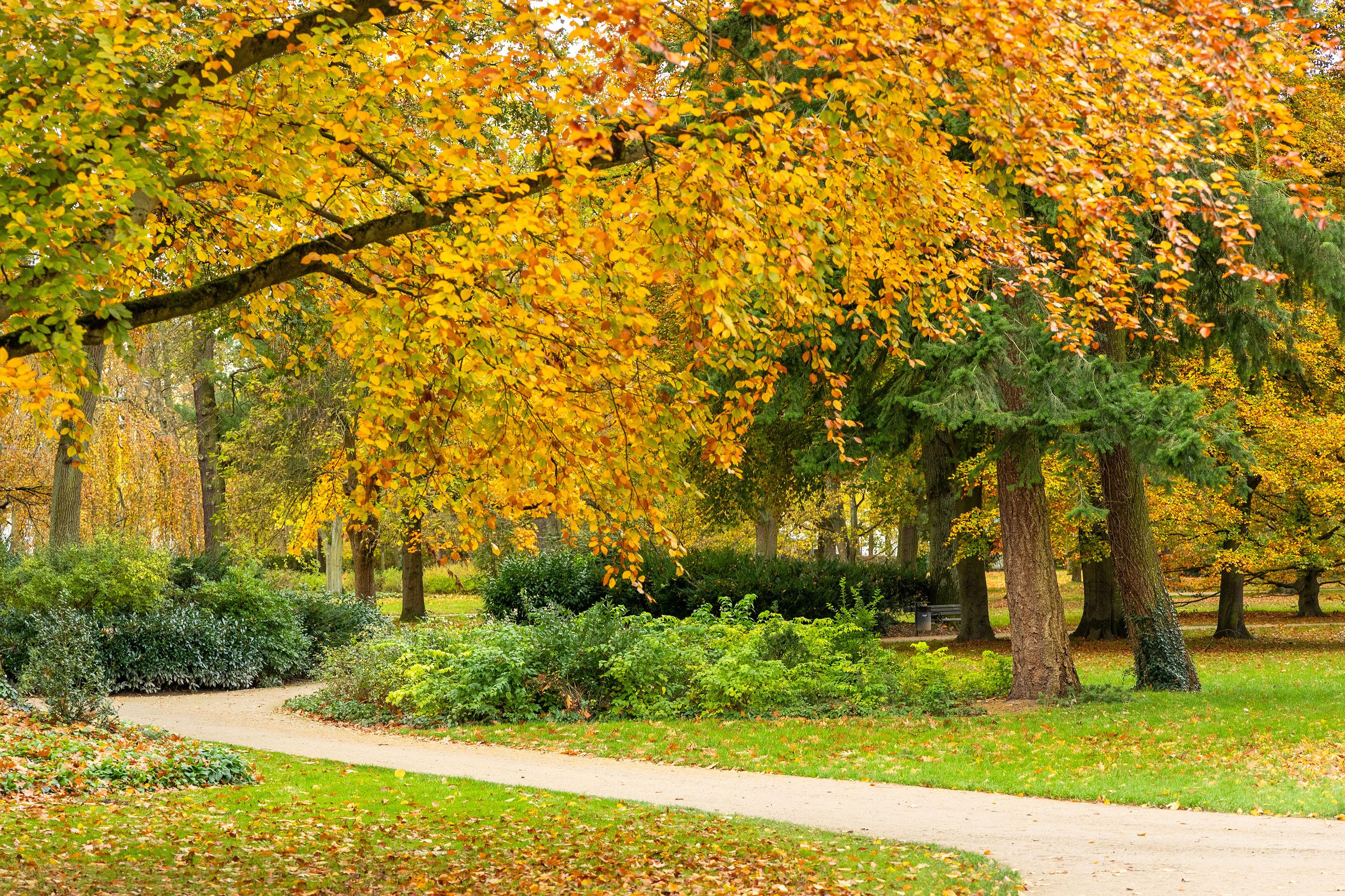 Der Französische Garten im Herbstgewand
