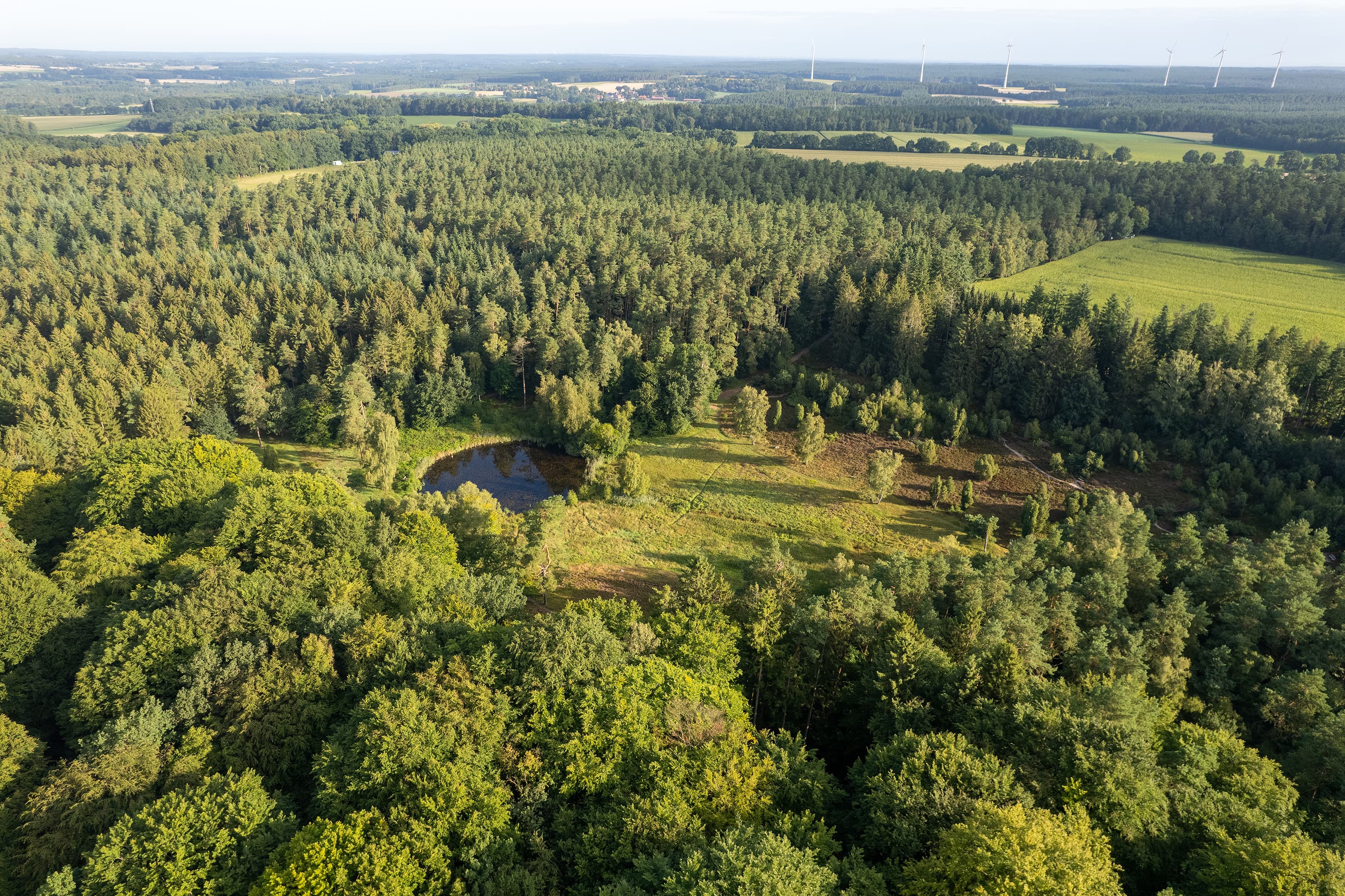 Luftaufnahme vom Marxener Paradies