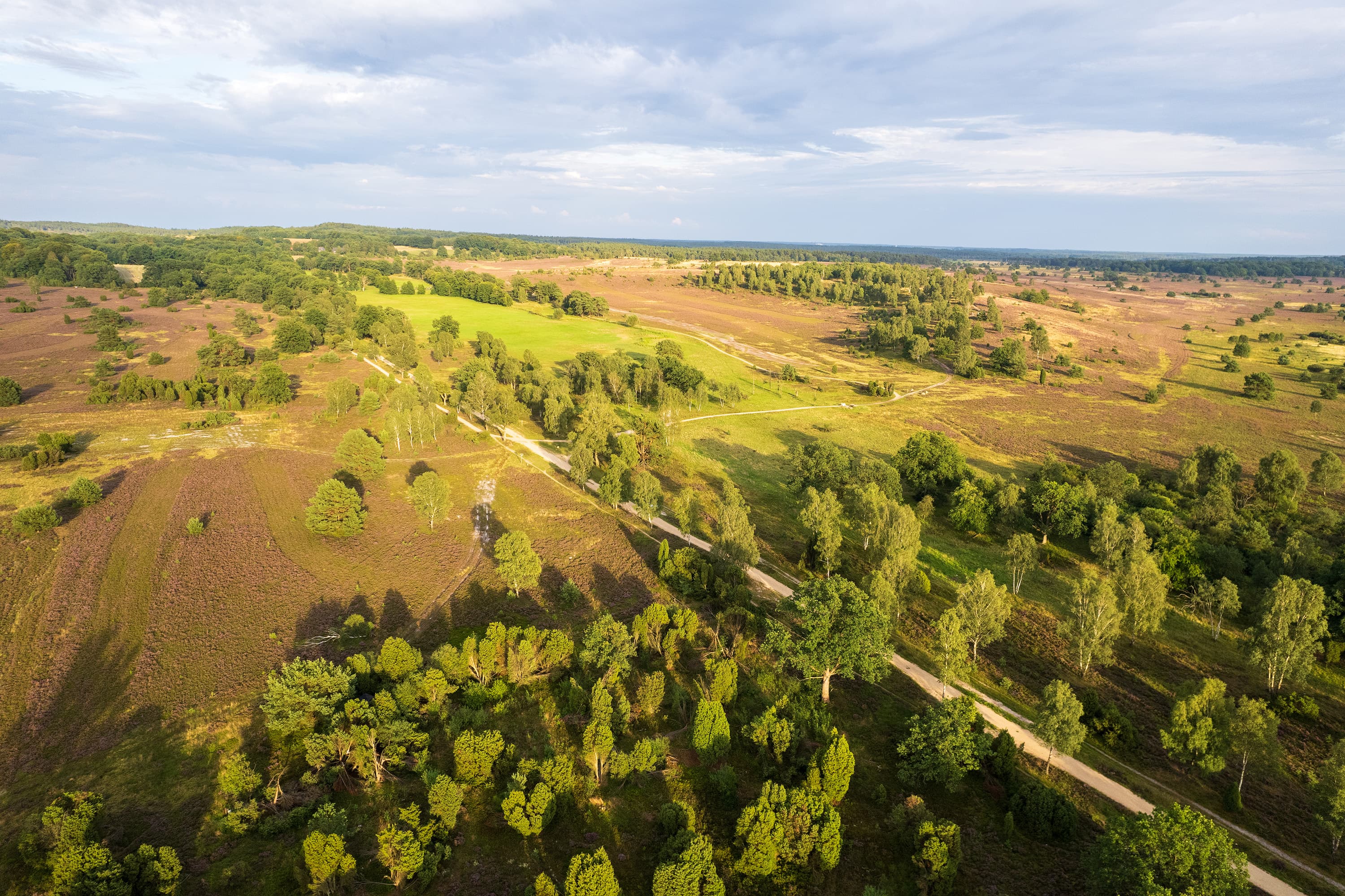 Wanderweg durch die Heide am Suhorn