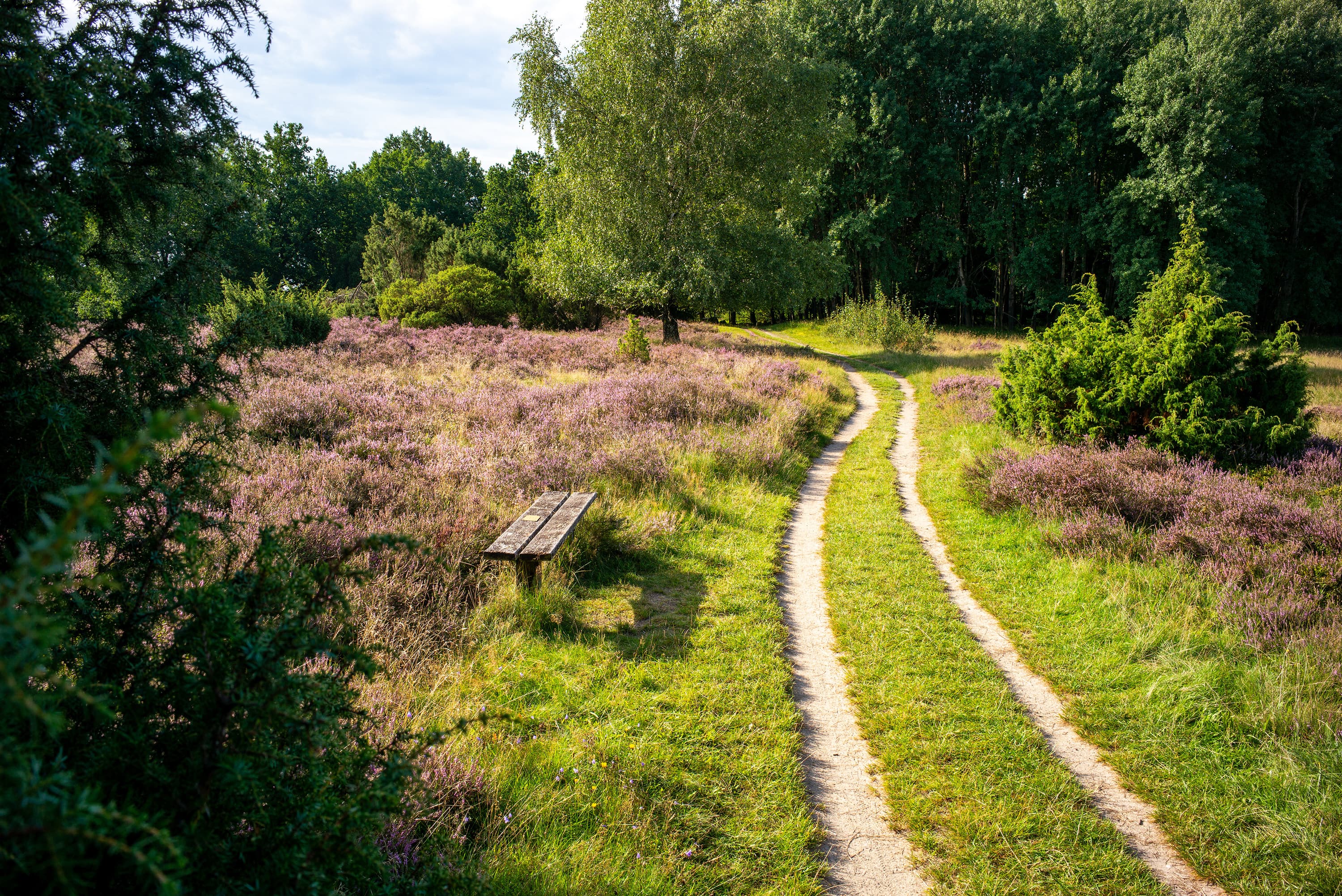 Wanderweg zum Totengrund