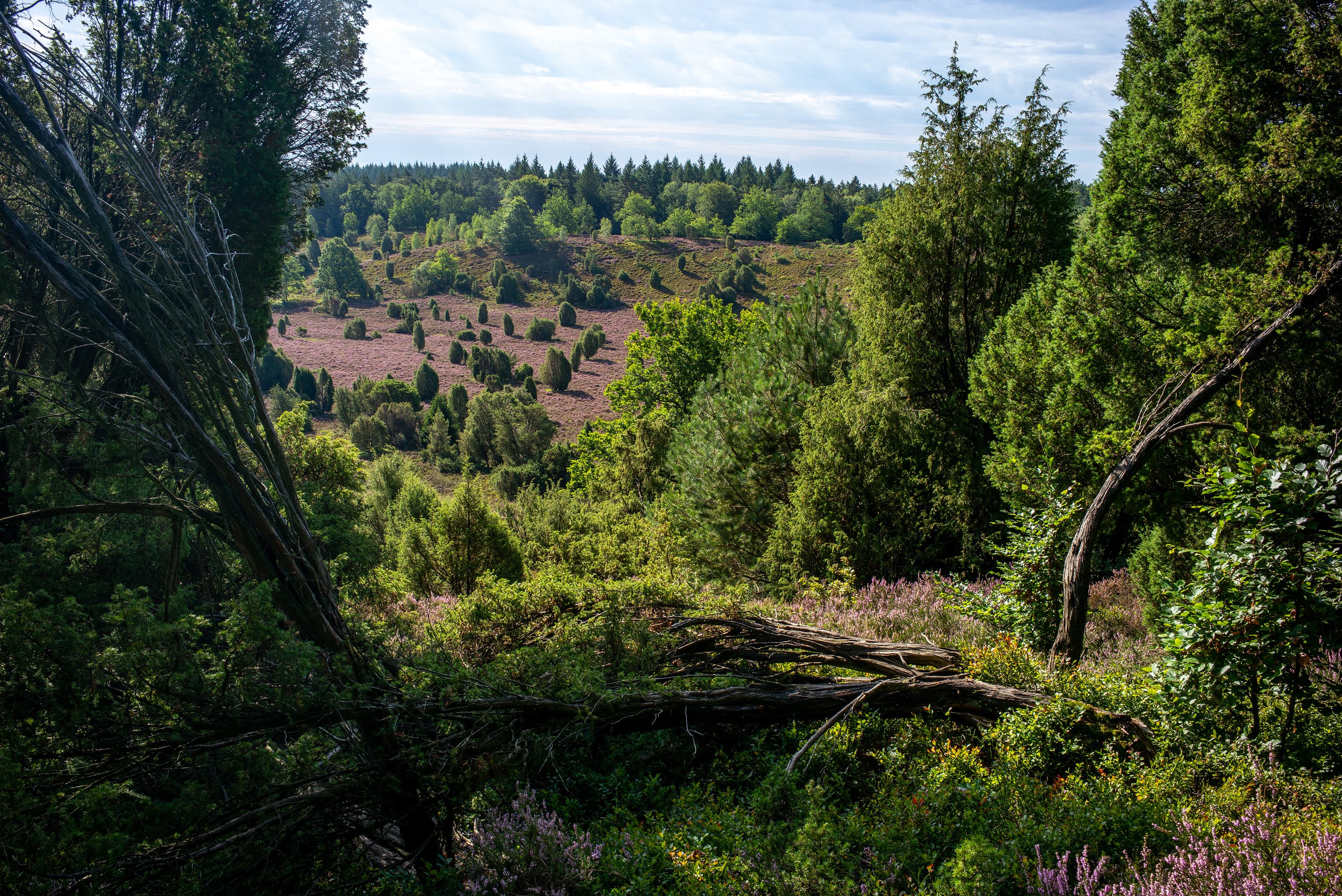 Blick in den Totengrund