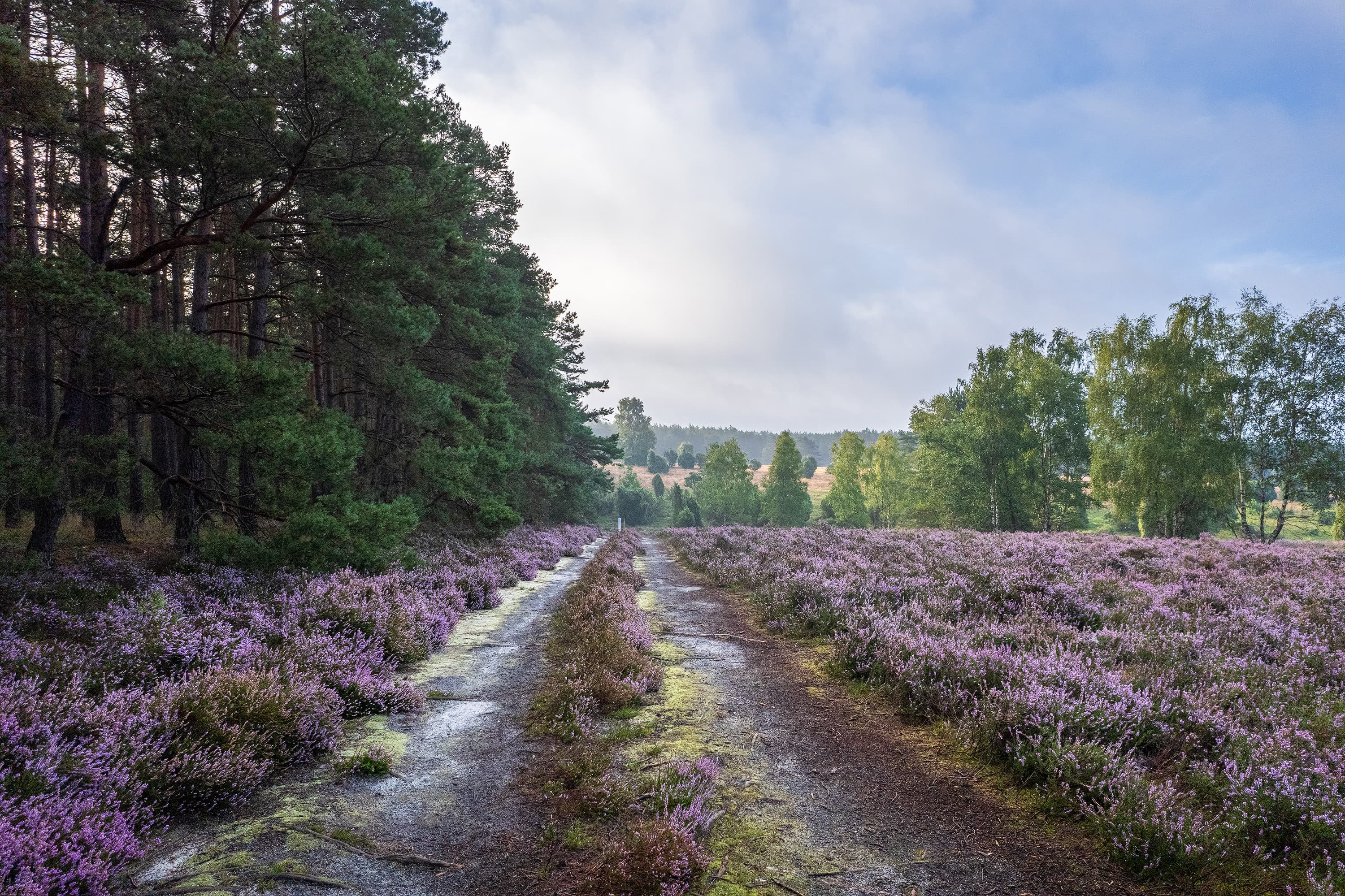 Wanderweg auf den Schillohsberg