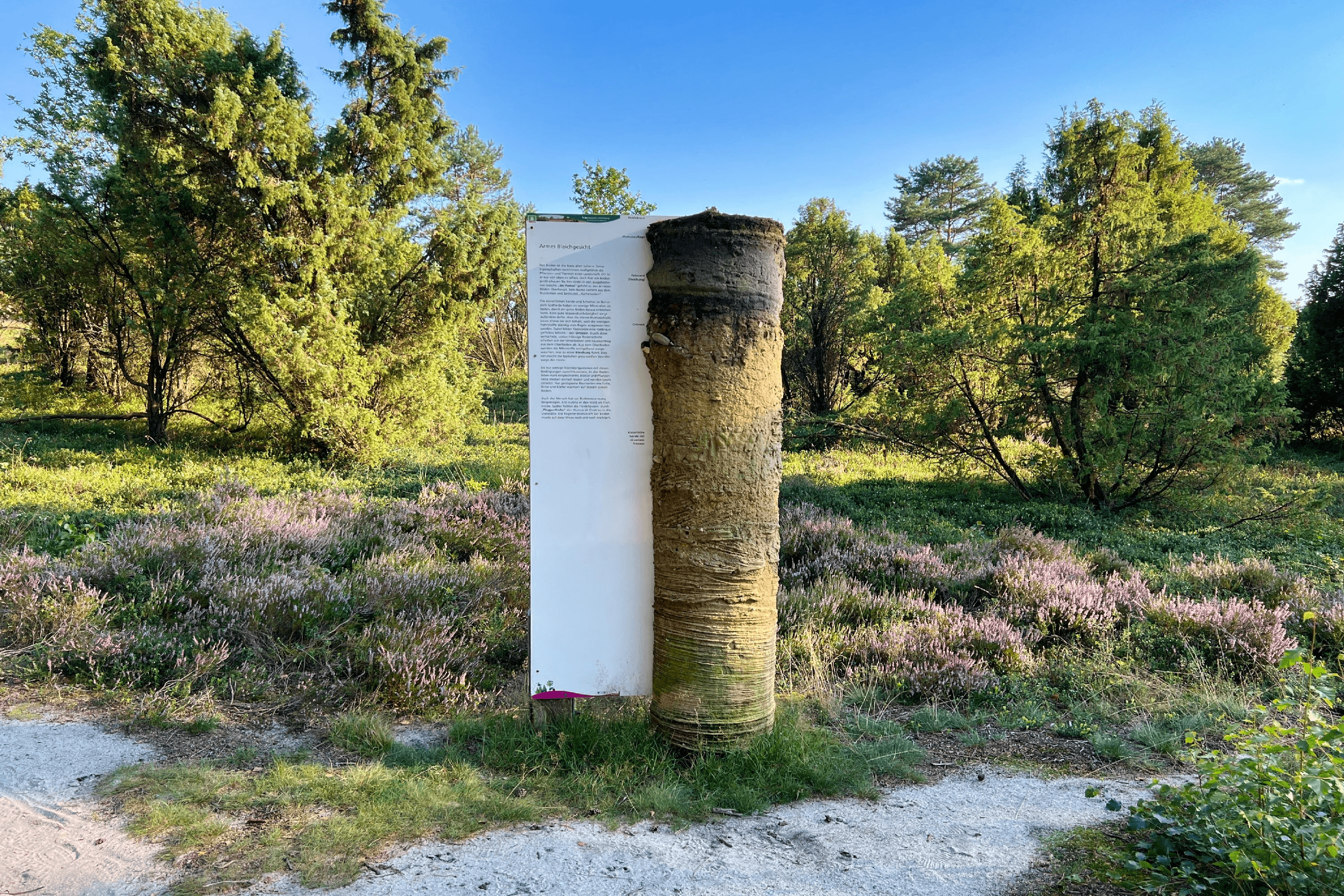 Informationen zur Kulturlandschaft "Heide"