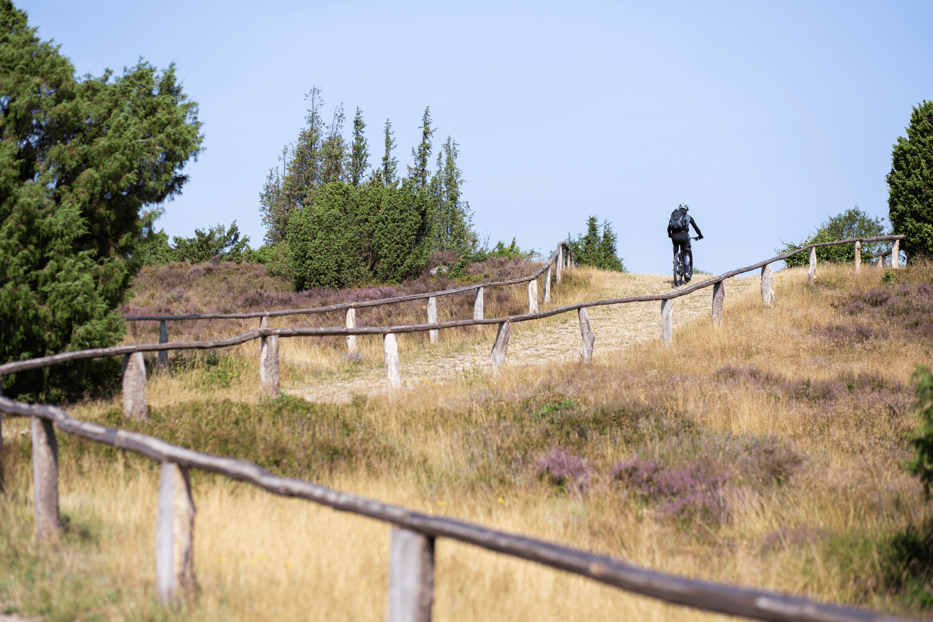Wanderweg und Radweg auf den Wilseder Berg
