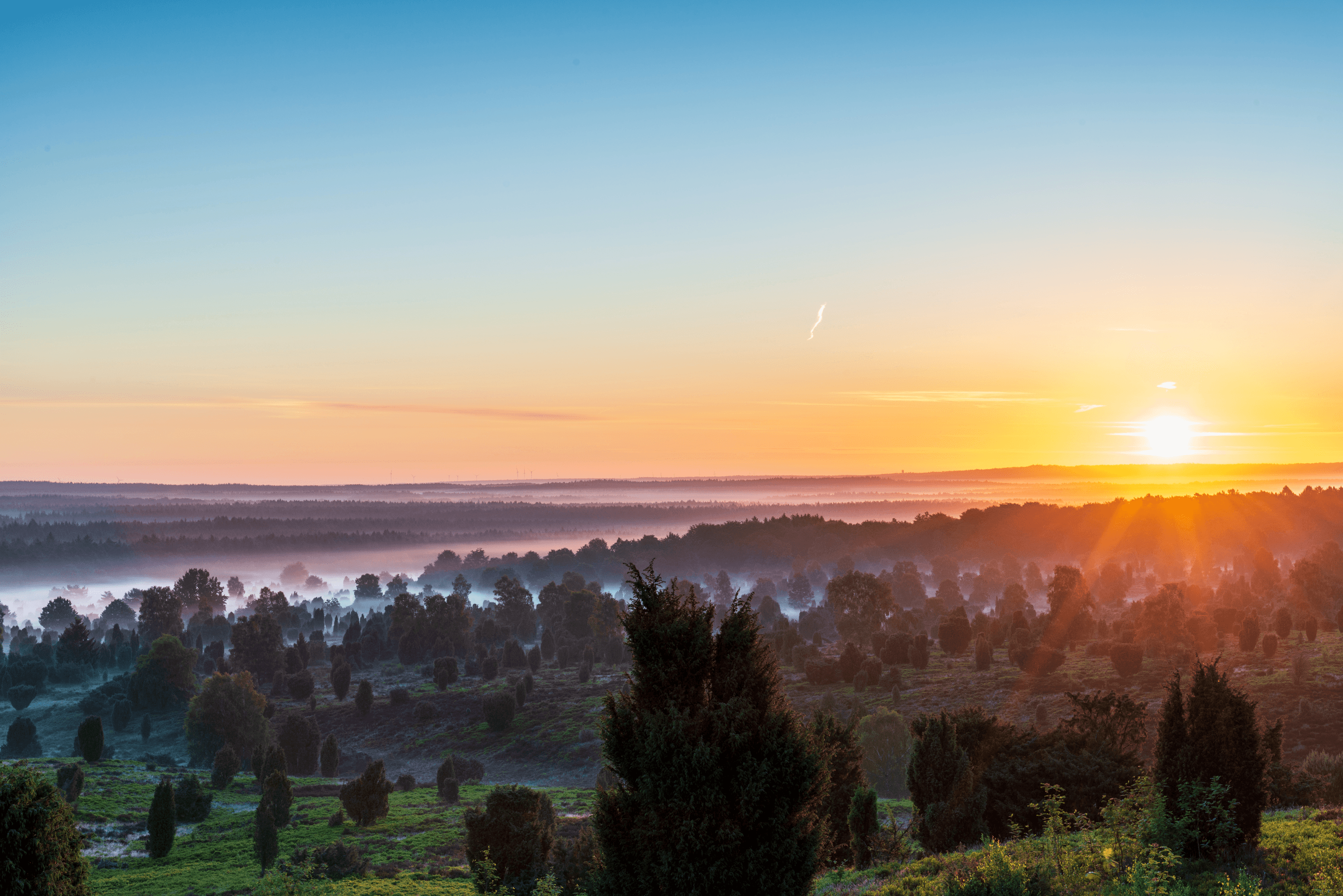 Nebelige Morgensonne am Wilseder Berg