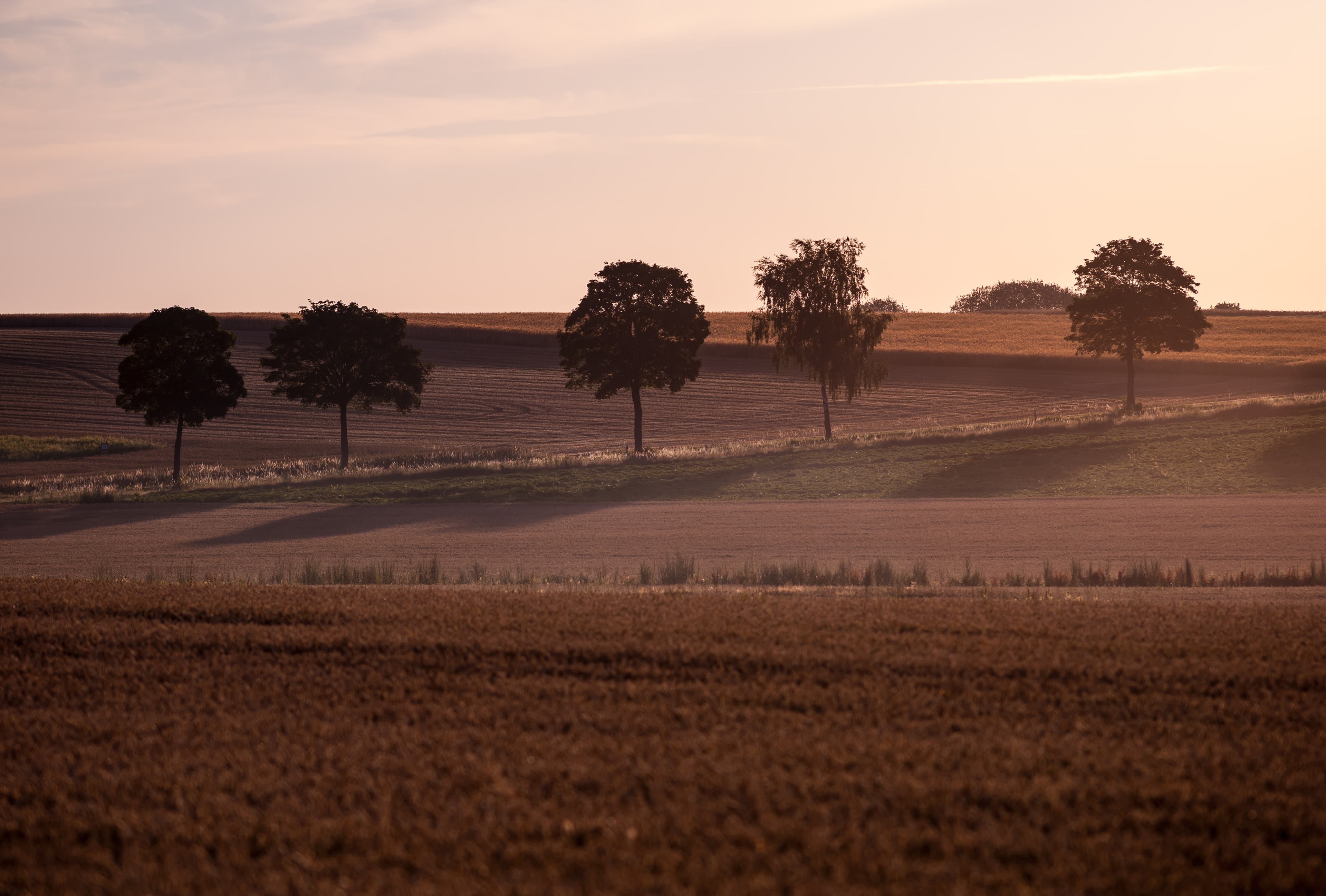 Landschaft bei Ebstorf