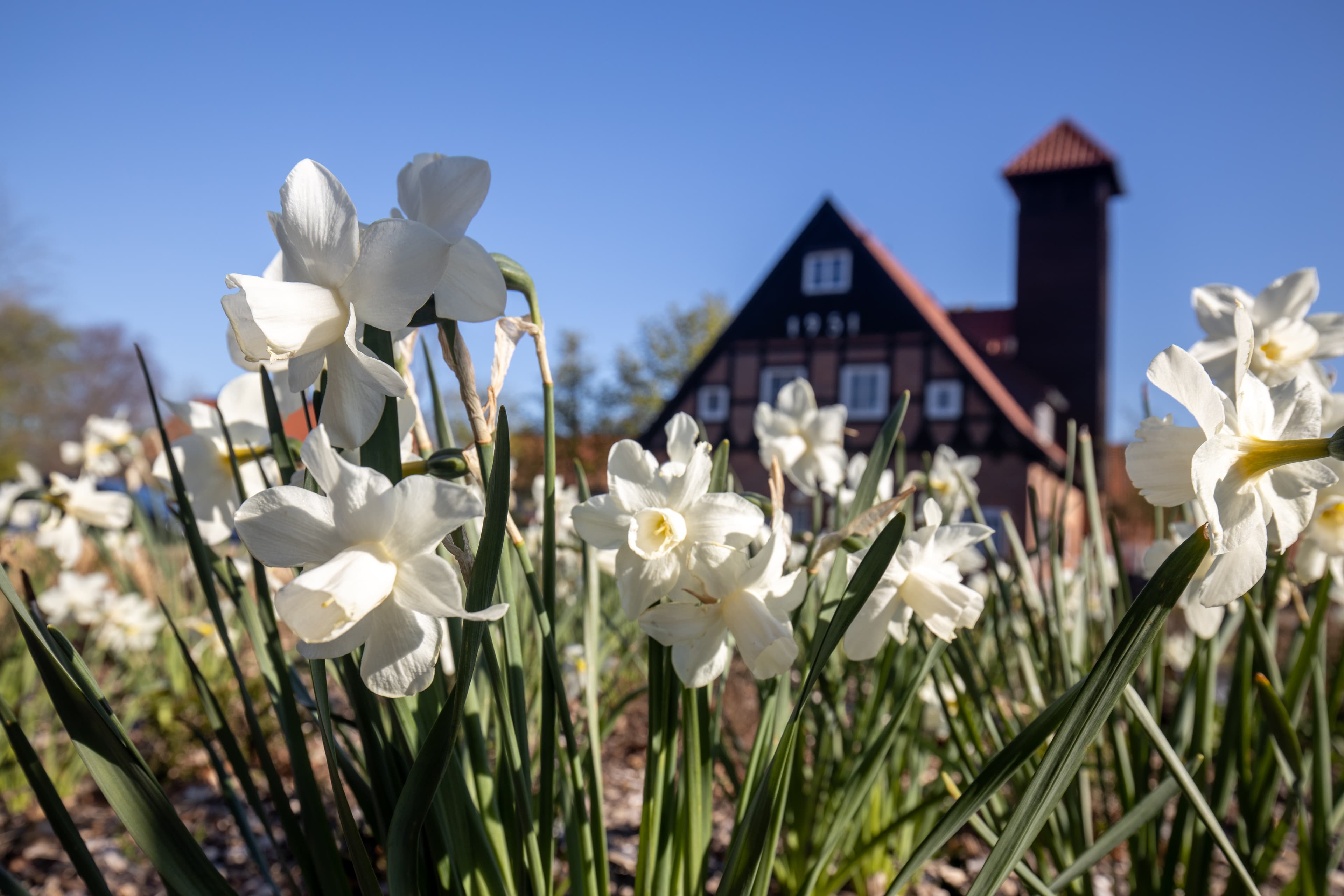 Ebstorf ist bekannt durch das Kloster