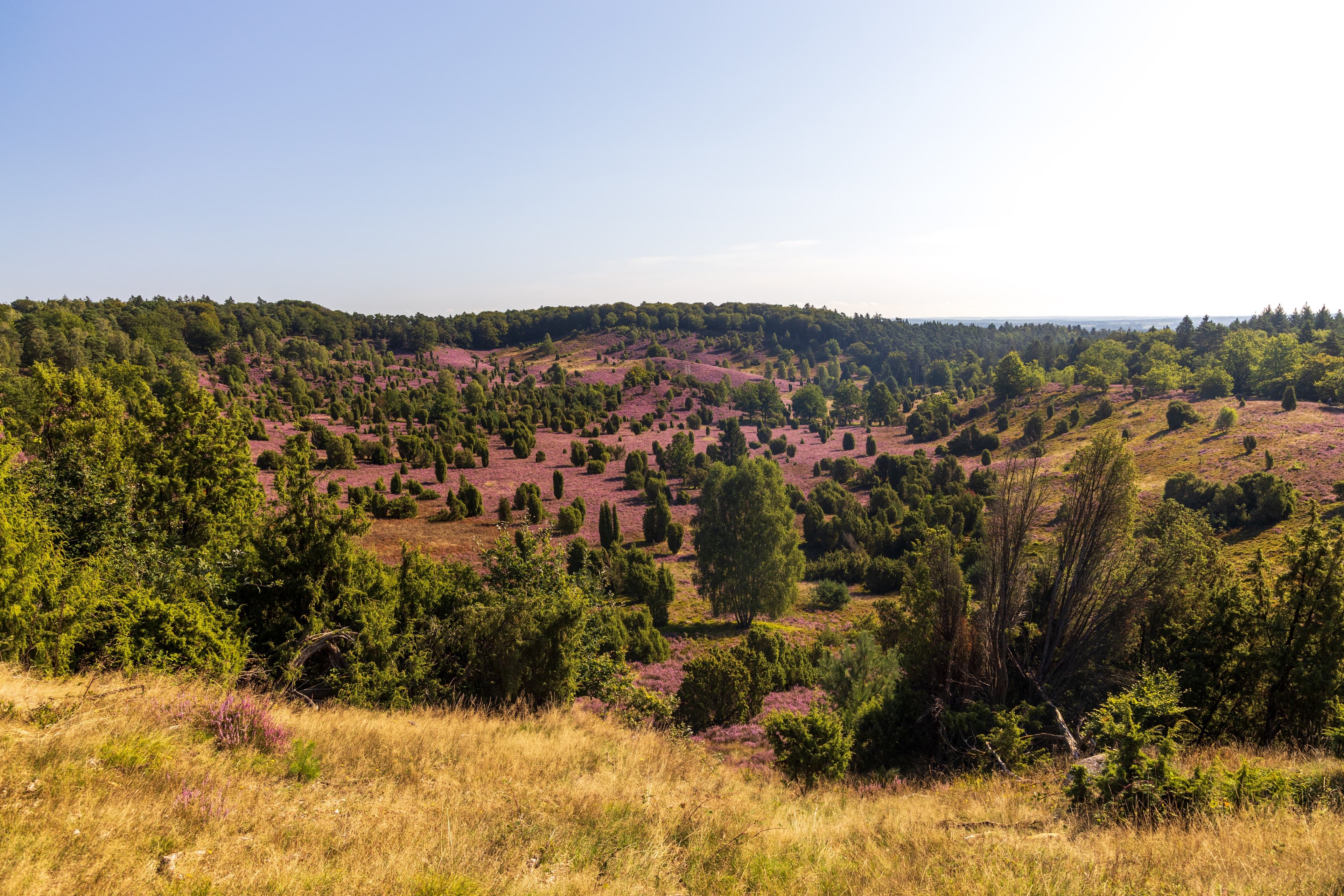 Blick von oben in den Totengrund