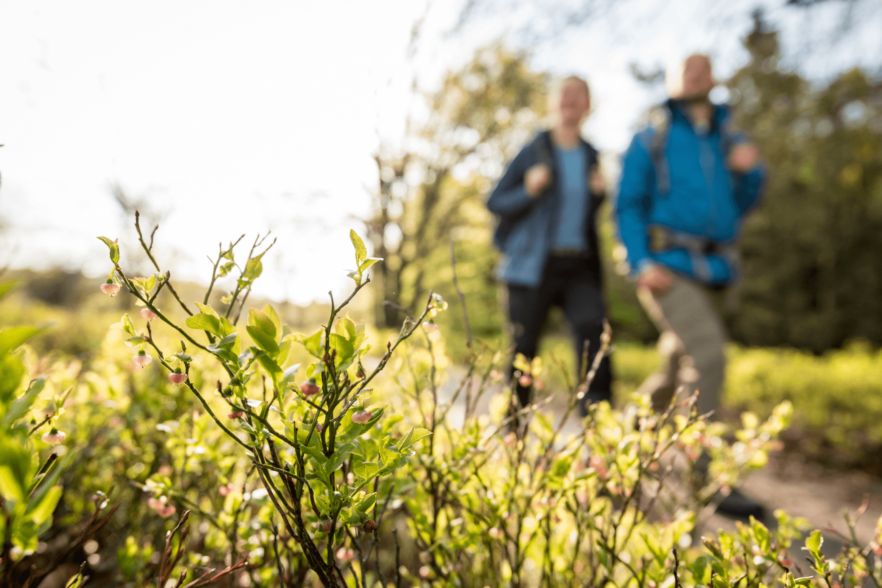 Wanderung um den Totengrund