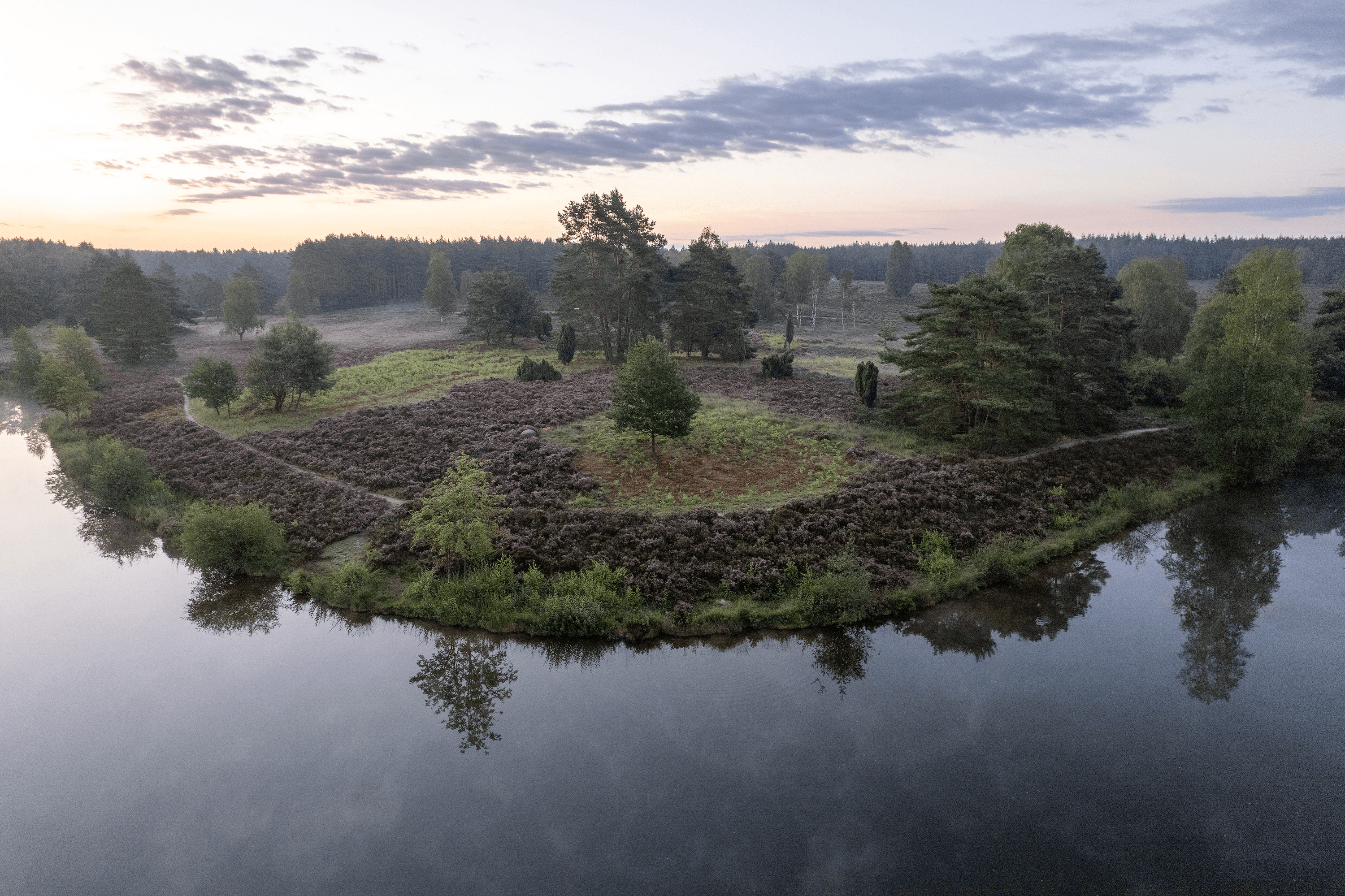 Morgenstimmung am Angelbecksteich zur Heideblüte