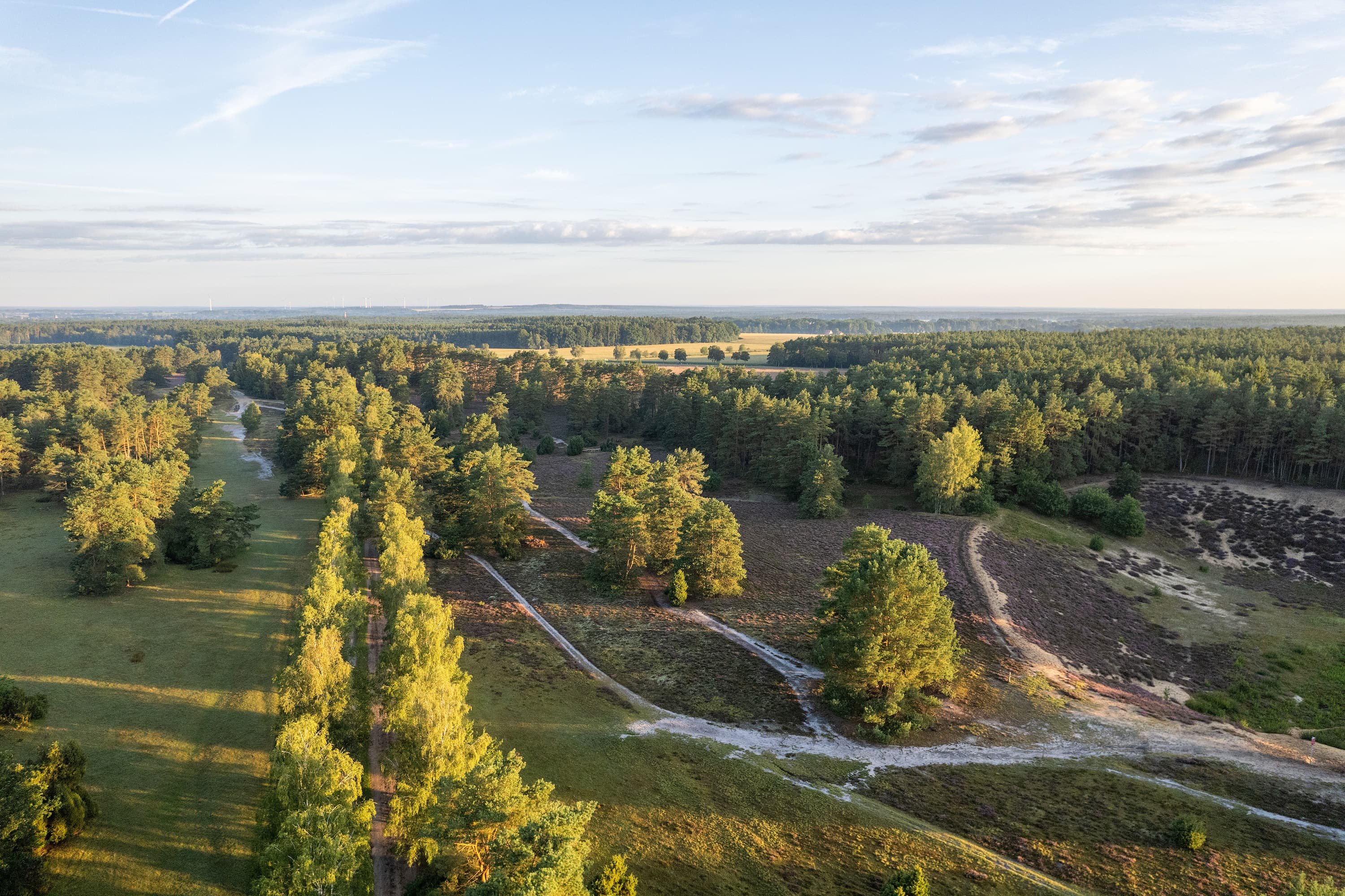 Luftaufnahme von der Misselhorner Heide