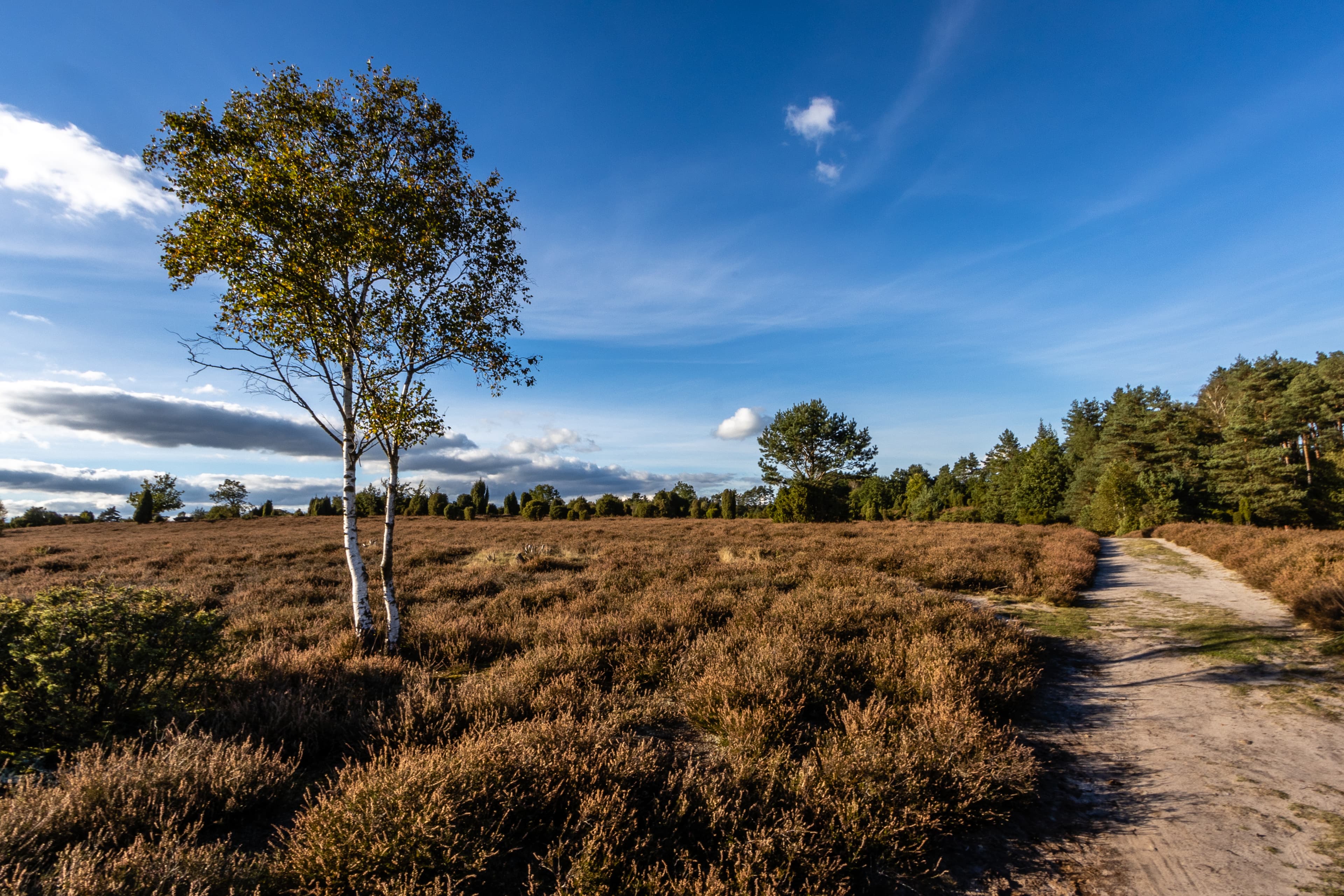 Ellerndorfer Wacholderheide Herbst