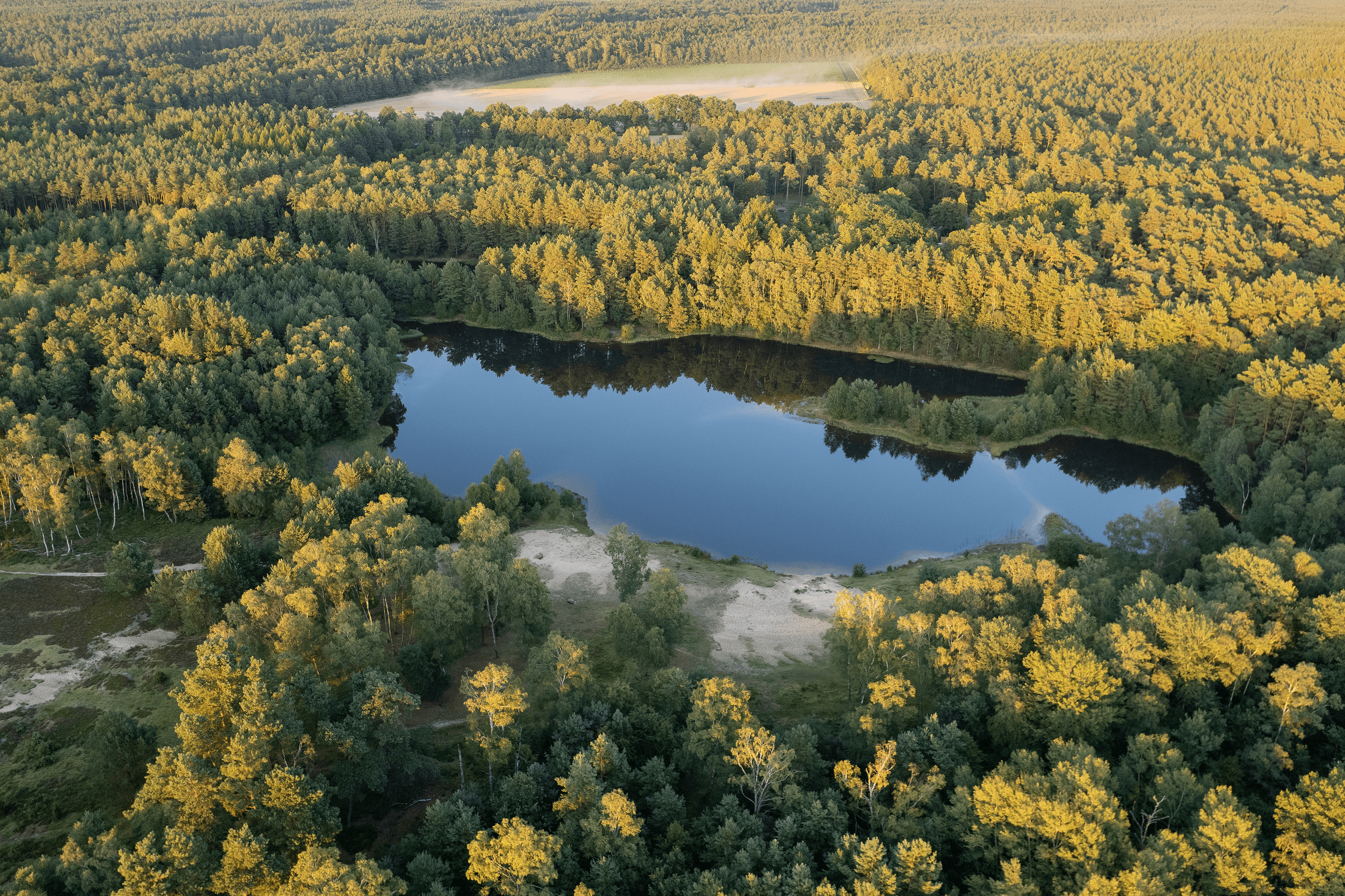 Kieselgurteich in der Oberoher Heide