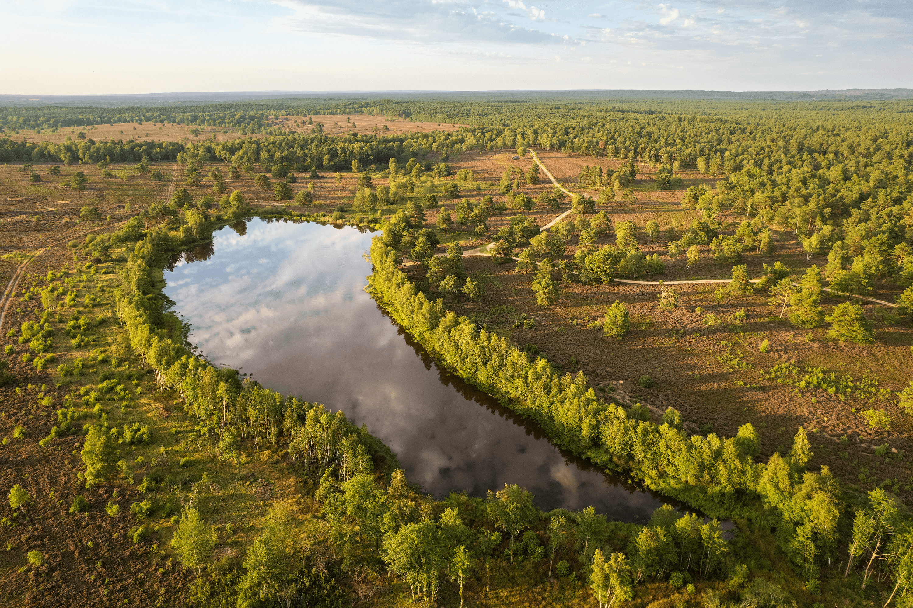 Blick auf den Sylvestersee in der Osterheide zur Heideblüte