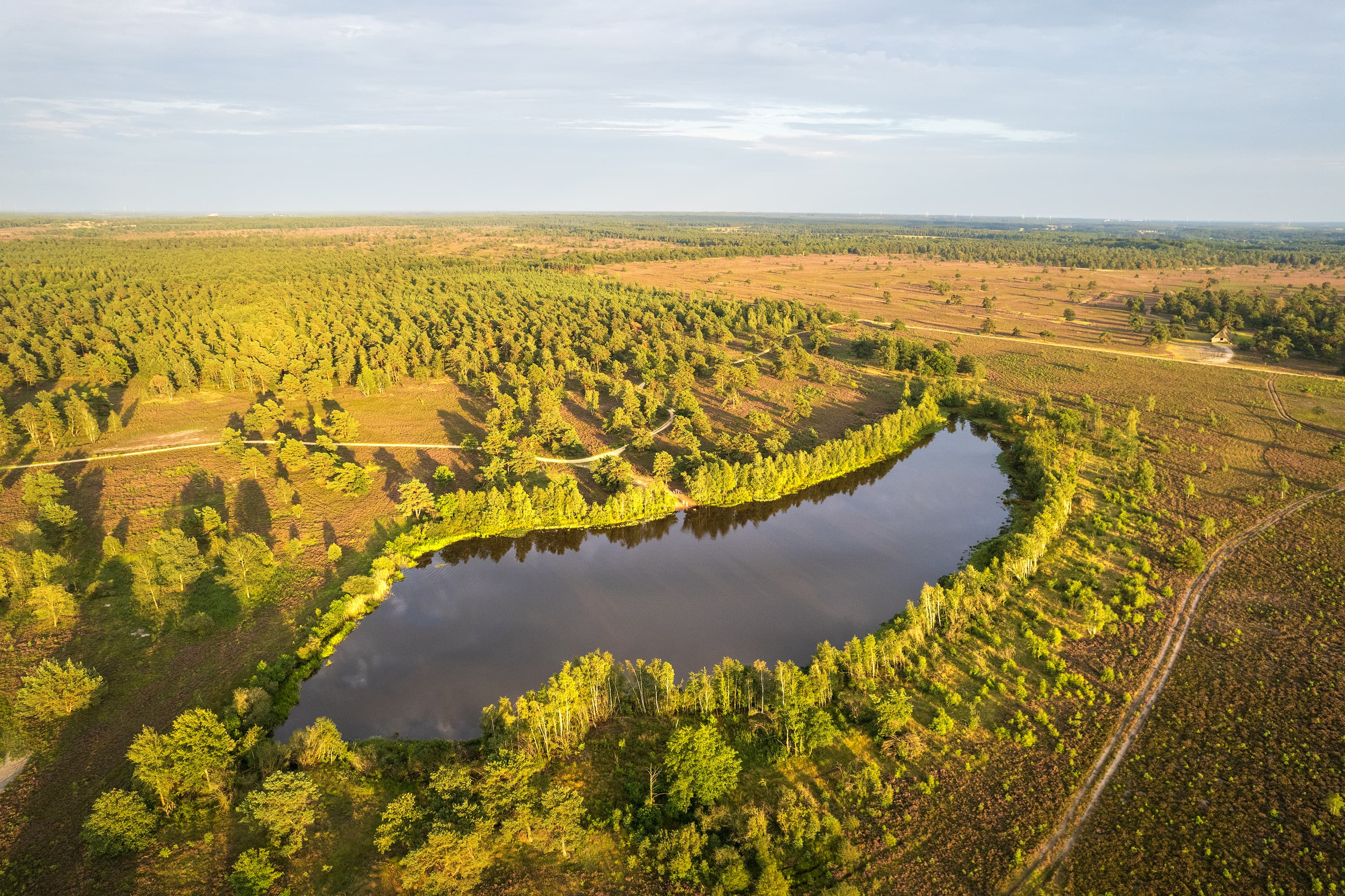 Luftaufnahme vom Sylvestersee in der Osteheide